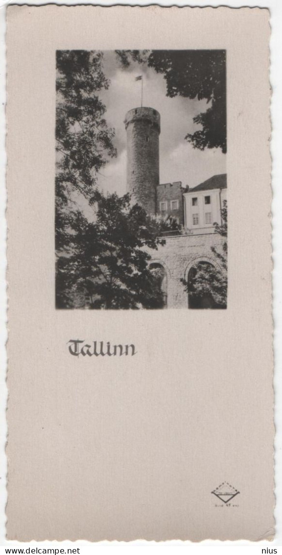 Estonia 1949 Tallinn, Size 12 X 6 Cm - Estonie