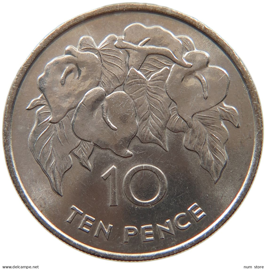 ST. HELENA 10 PENCE 1984 Elizabeth II. (1952-2022) #c042 0261 - Sainte-Hélène