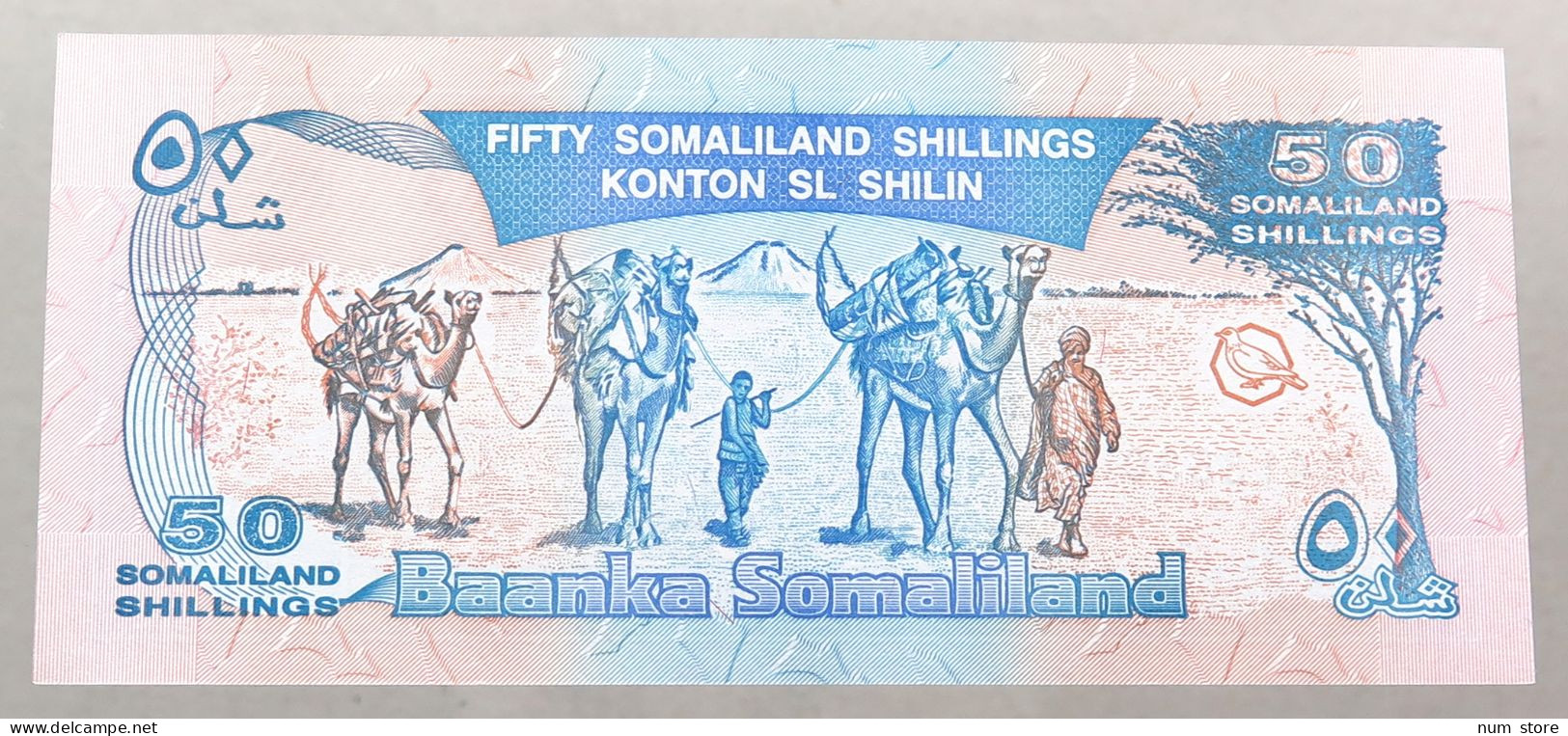 SOMALIA 50 SHILLINGS 1996  #alb049 1541 - Somalia