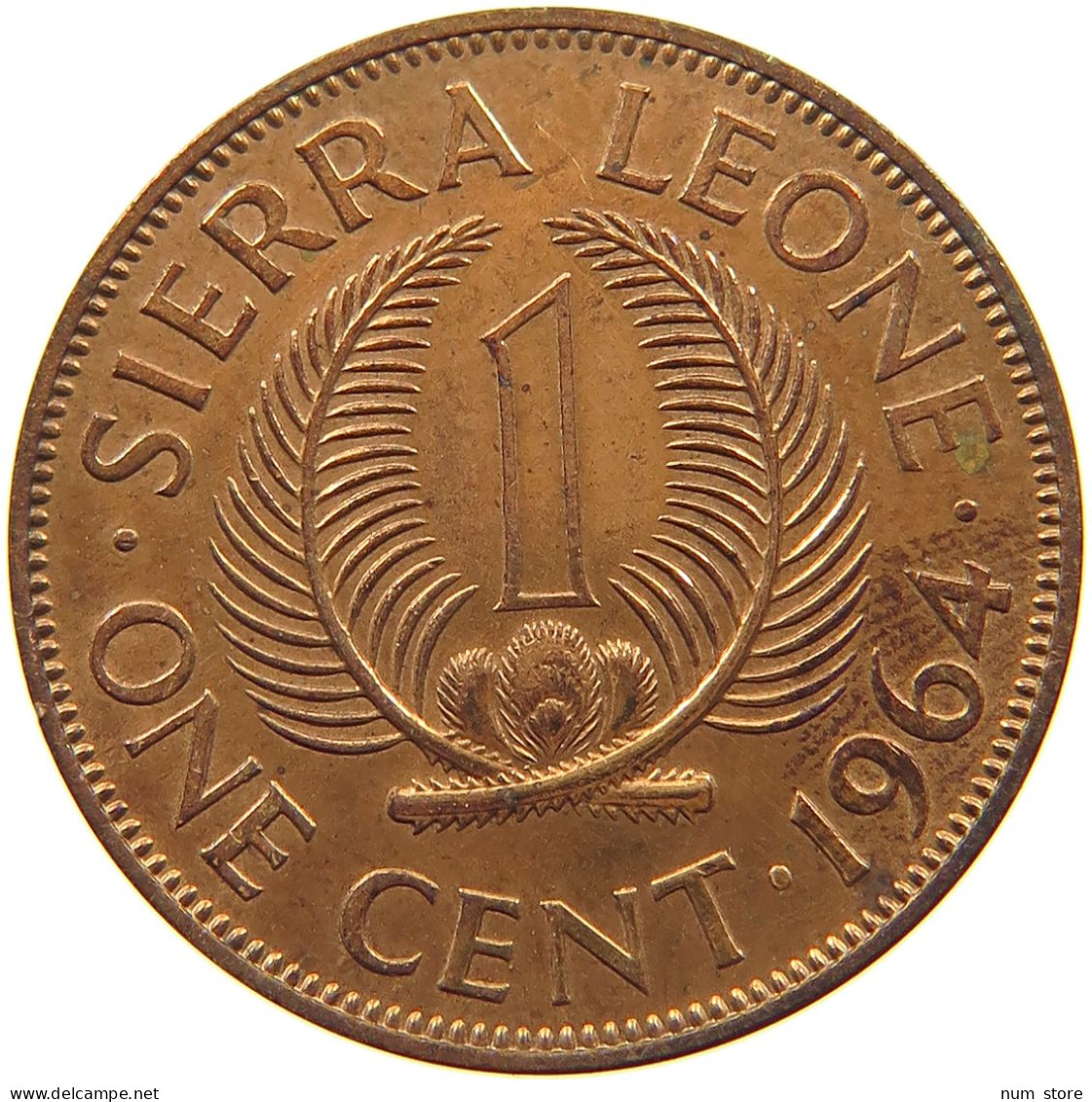 SIERRA LEONE CENT 1964  #c079 0107 - Sierra Leone