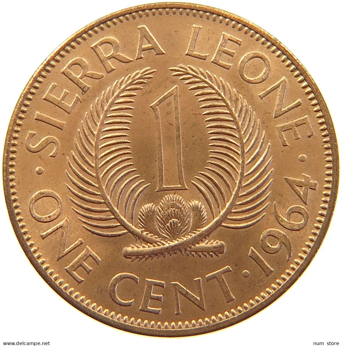 SIERRA LEONE CENT 1964  #s023 0263 - Sierra Leone