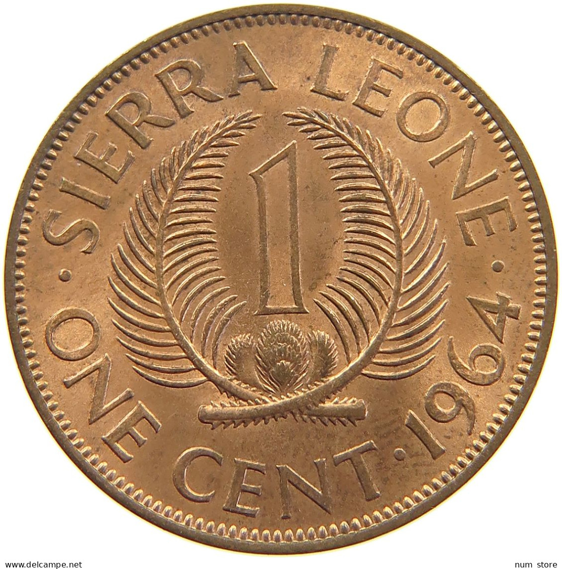 SIERRA LEONE CENT 1964  #c015 0303 - Sierra Leone