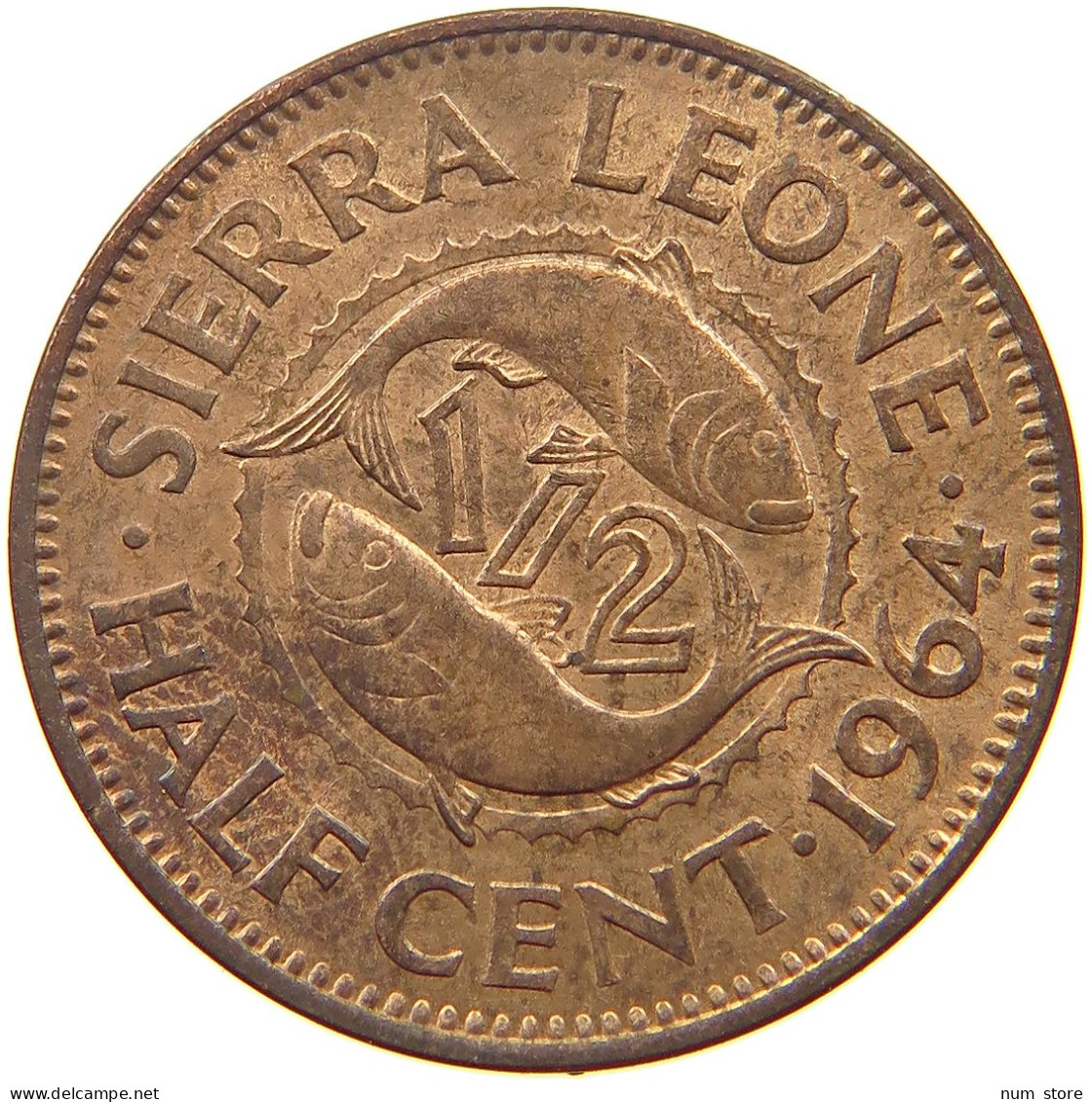 SIERRA LEONE 1/2 CENT 1964  #s051 0571 - Sierra Leona