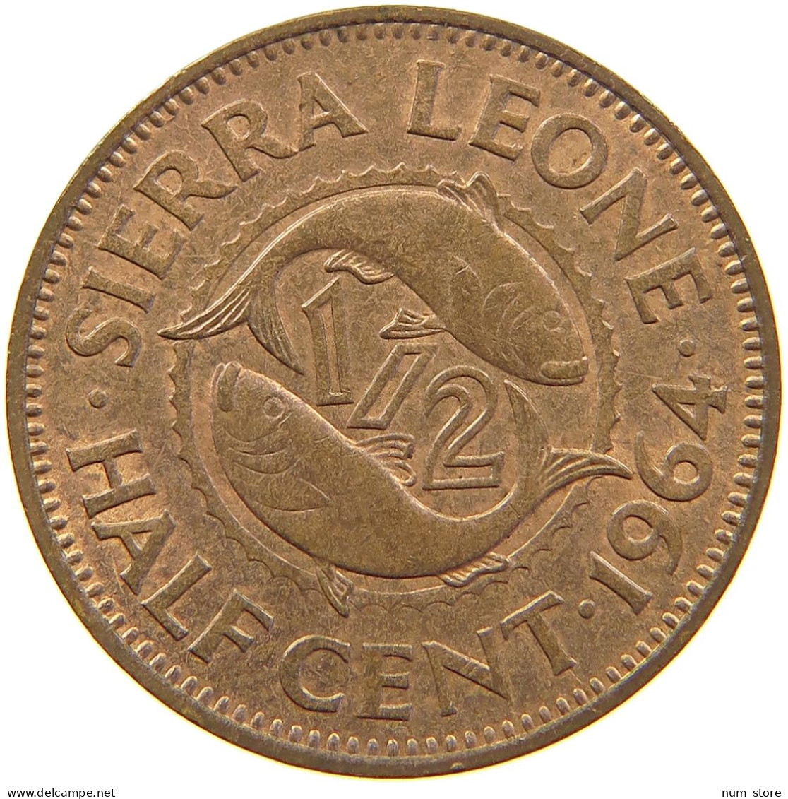 SIERRA LEONE 1/2 CENT 1964  #s029 0207 - Sierra Leone