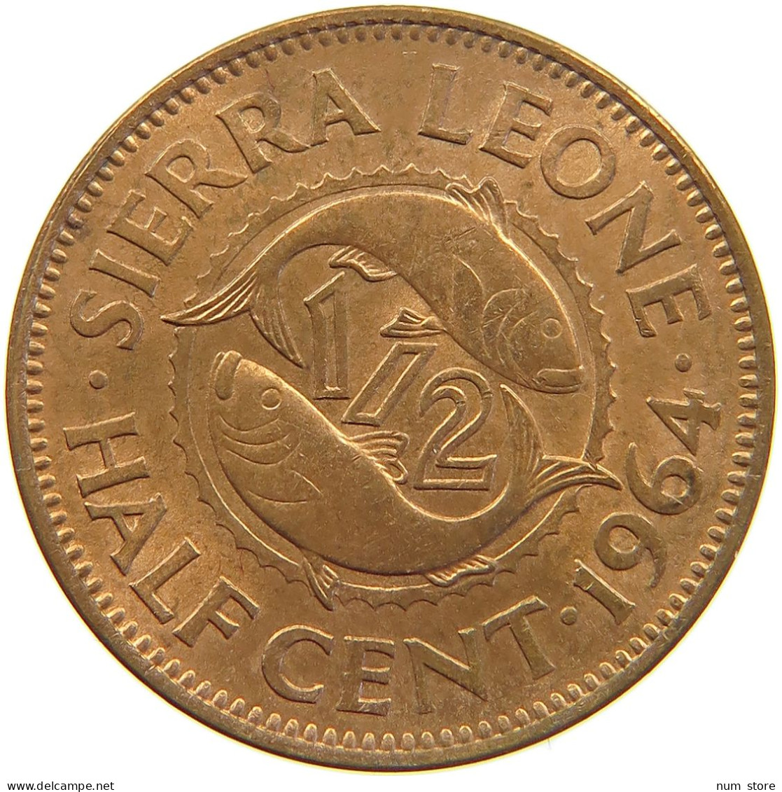 SIERRA LEONE 1/2 CENT 1964  #c016 0475 - Sierra Leone