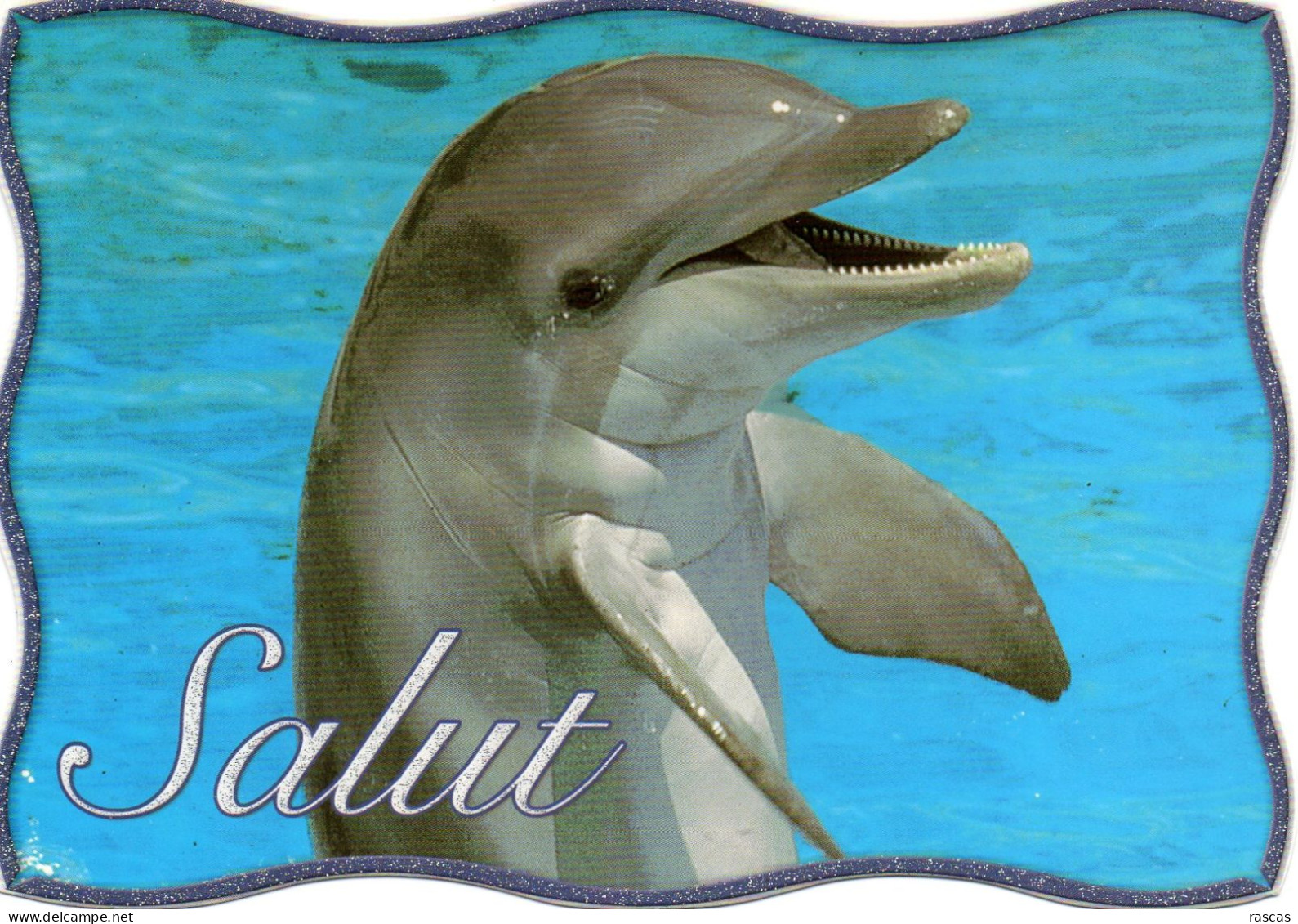 CPM - J - DAUPHIN - SALUT - Delfines
