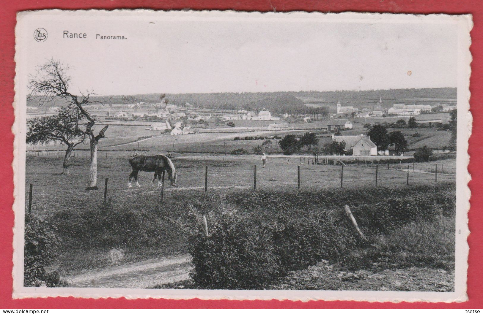 Rance ... Panorama Du Village ... Cheval En Prairie - 1957 ( Voir Verso ) - Sivry-Rance