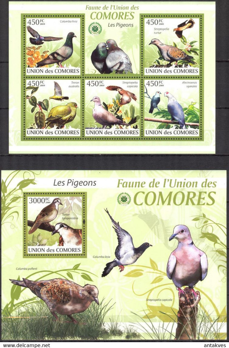 Comoros 2009 Birds Pigeons Sheet + S/S MNH - Comores (1975-...)