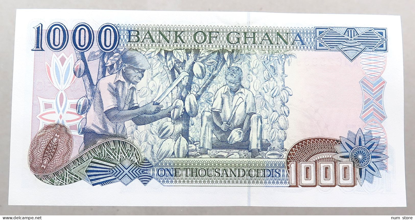 GHANA 1000 CEDIS 1999  #alb051 1437 - Ghana