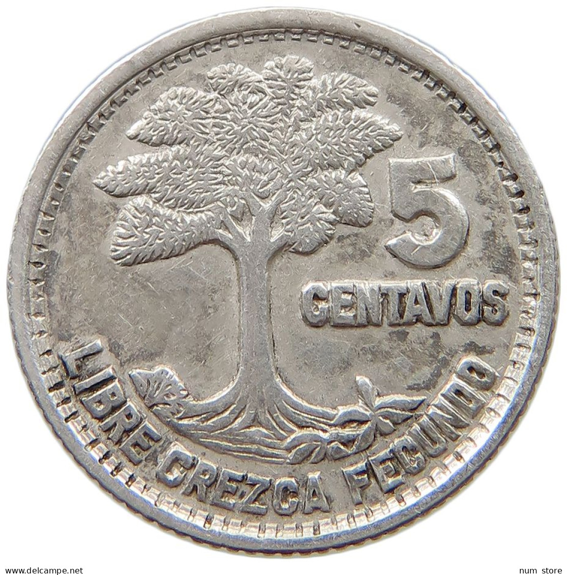 GUATEMALA 5 CENTAVOS 1957  #s049 0757 - Guatemala