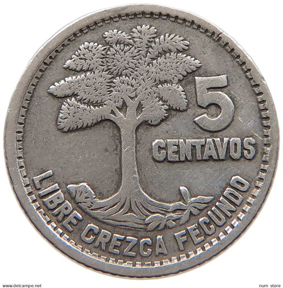 GUATEMALA 5 CENTAVOS 1957  #c040 0591 - Guatemala