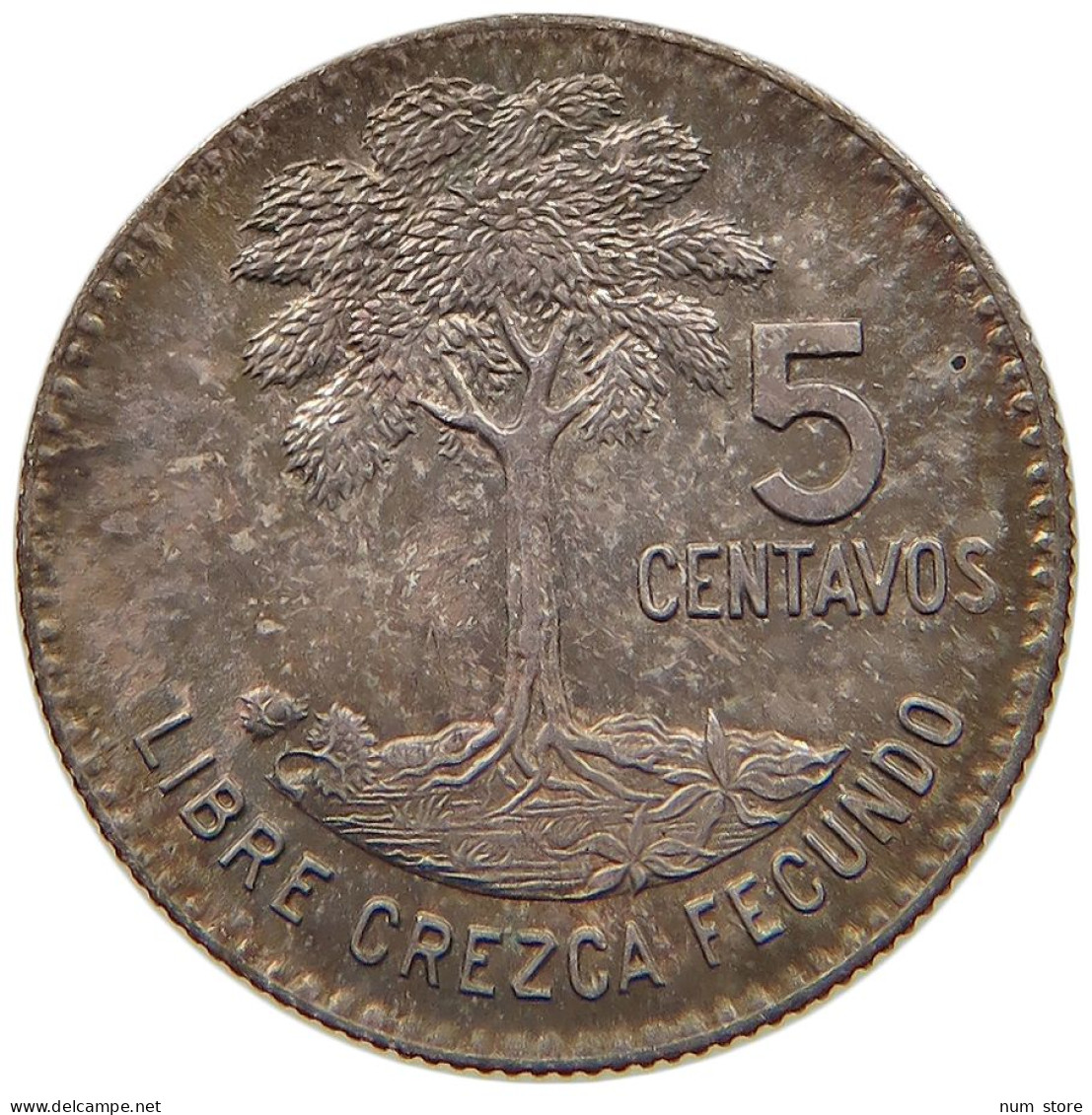 GUATEMALA 5 CENTAVOS 1961  #c032 0473 - Guatemala