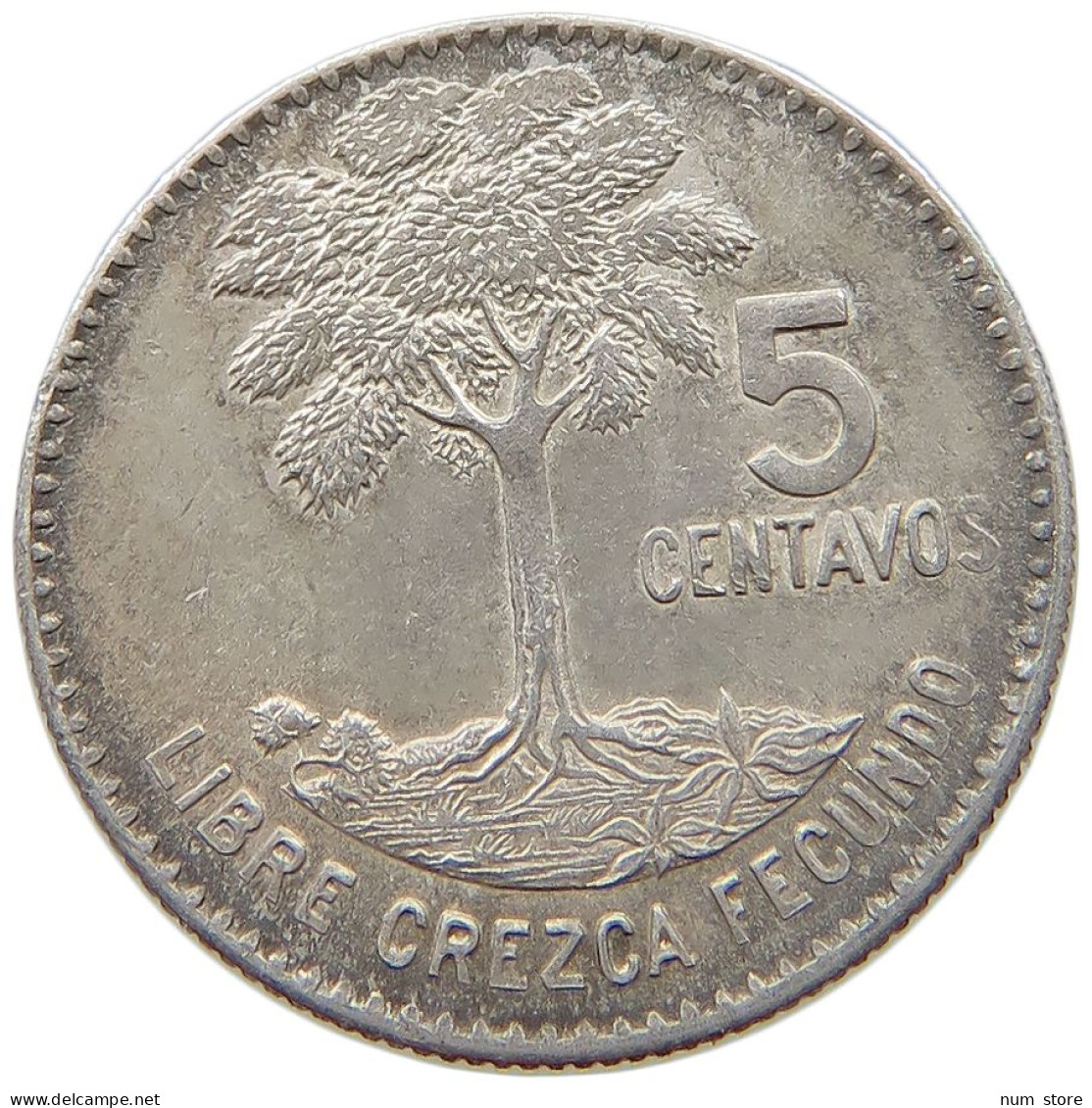 GUATEMALA 5 CENTAVOS 1961  #s049 0759 - Guatemala