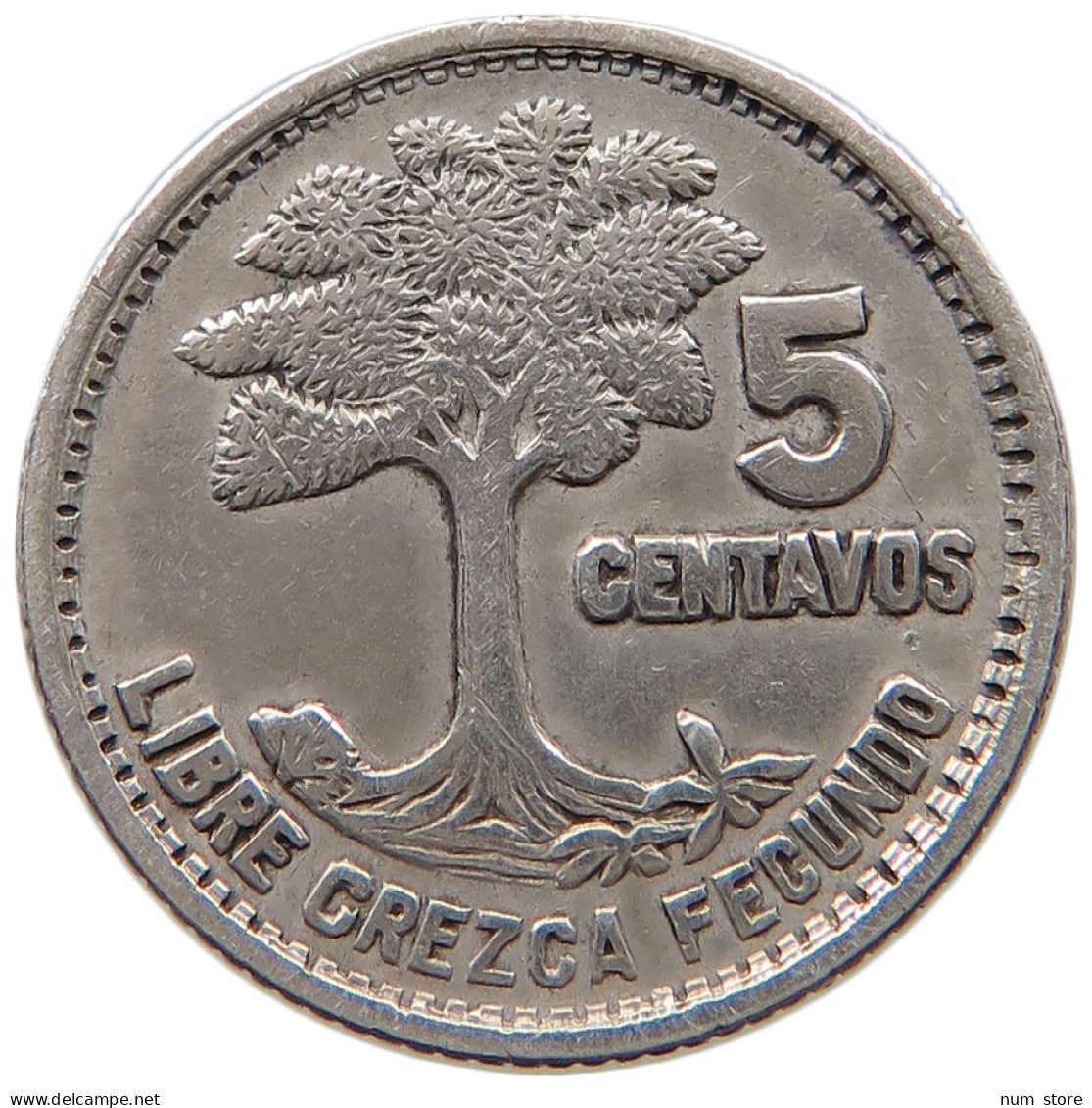 GUATEMALA 5 CENTAVOS 1957  #a045 0869 - Guatemala