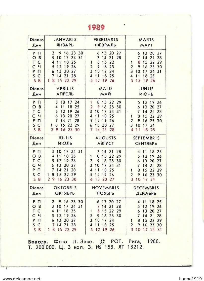 Dog Hond Chien Kalender 1989 Calendrier Htje - Small : 1981-90