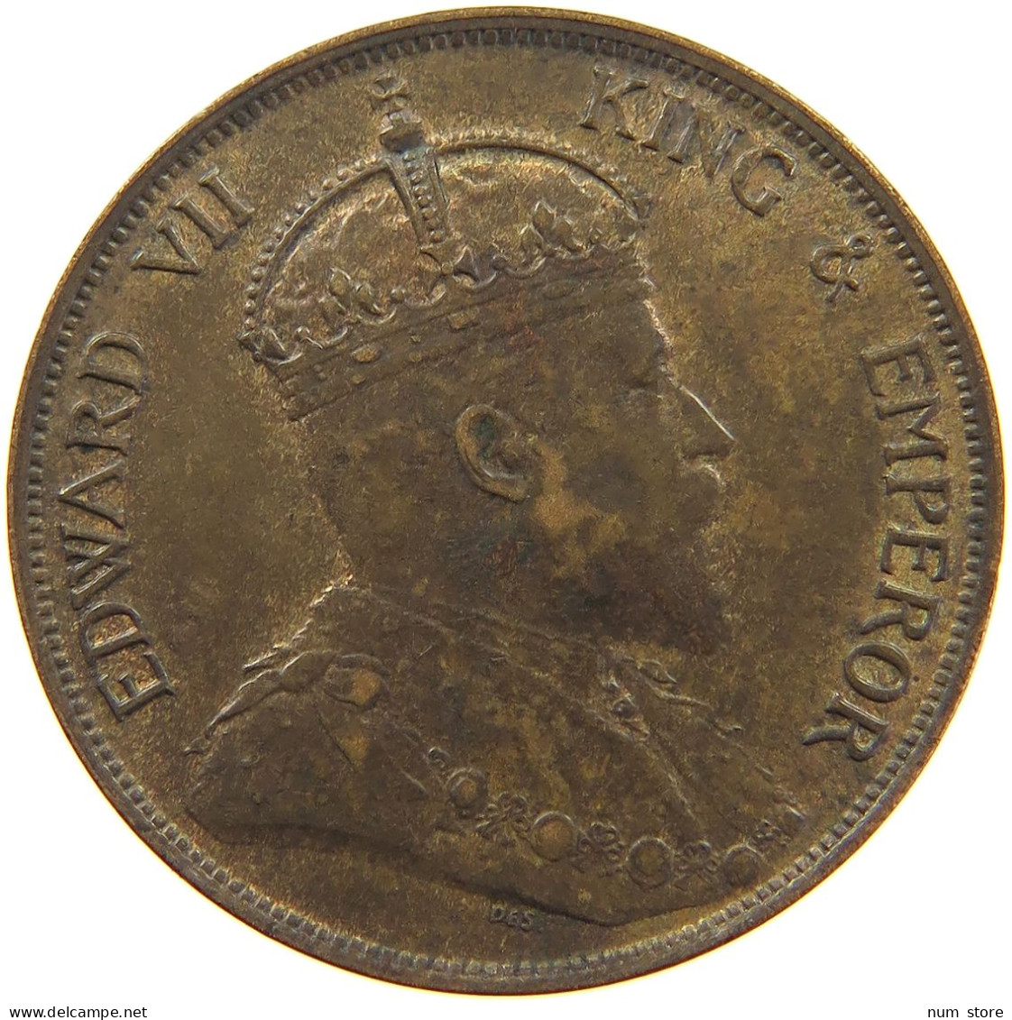 HONG KONG CENT 1902 Victoria 1837-1901 #t005 0349 - Hong Kong