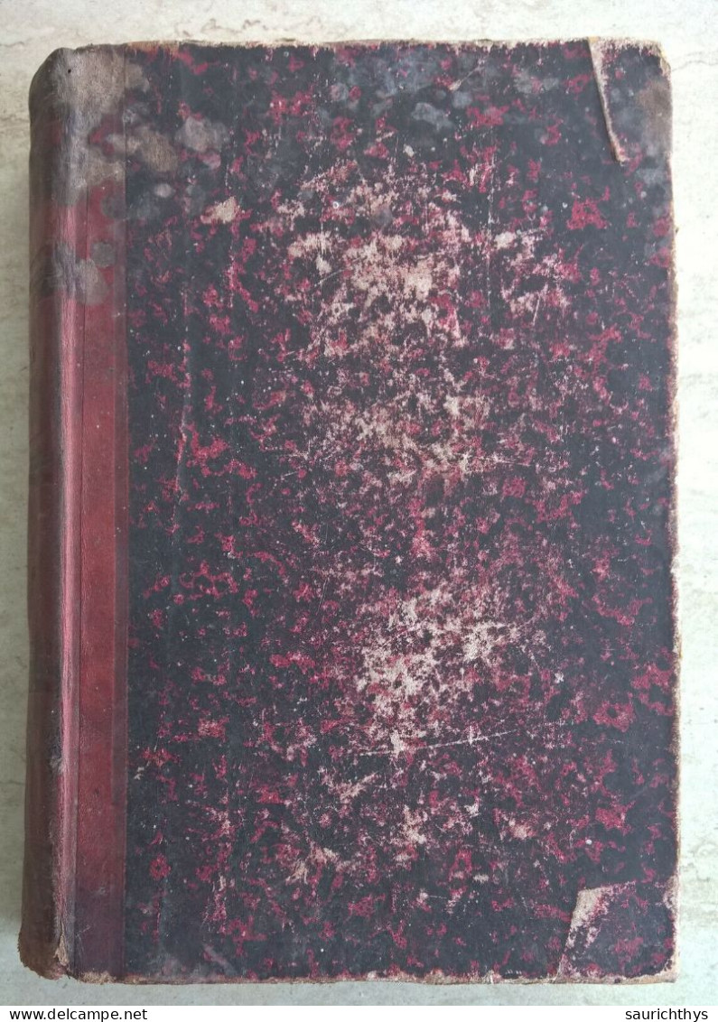 Fassini Libro Di Letture Italiane Ad Uso Dei Ginnasi Delle Scuole Tecniche E Degl'istituti Militari 1876 - Old Books