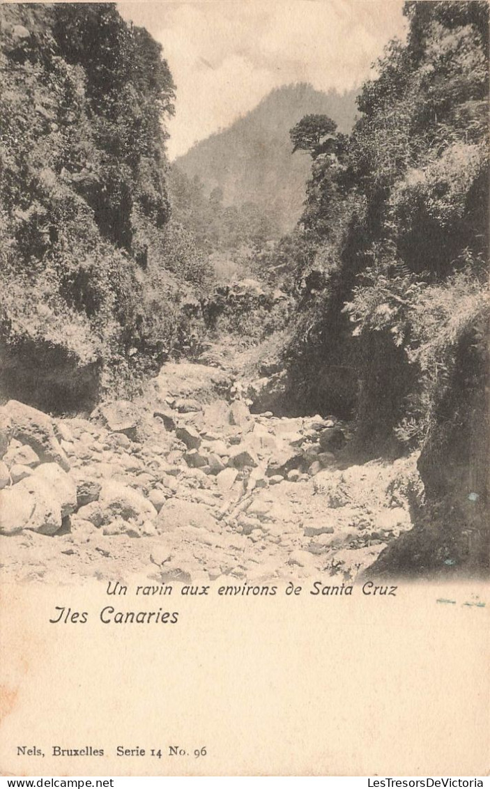 ESPAGNE - Iles Canaries -  Un Ravin Aux Environs De Santa Cruz - Carte Postale Ancienne - Andere & Zonder Classificatie