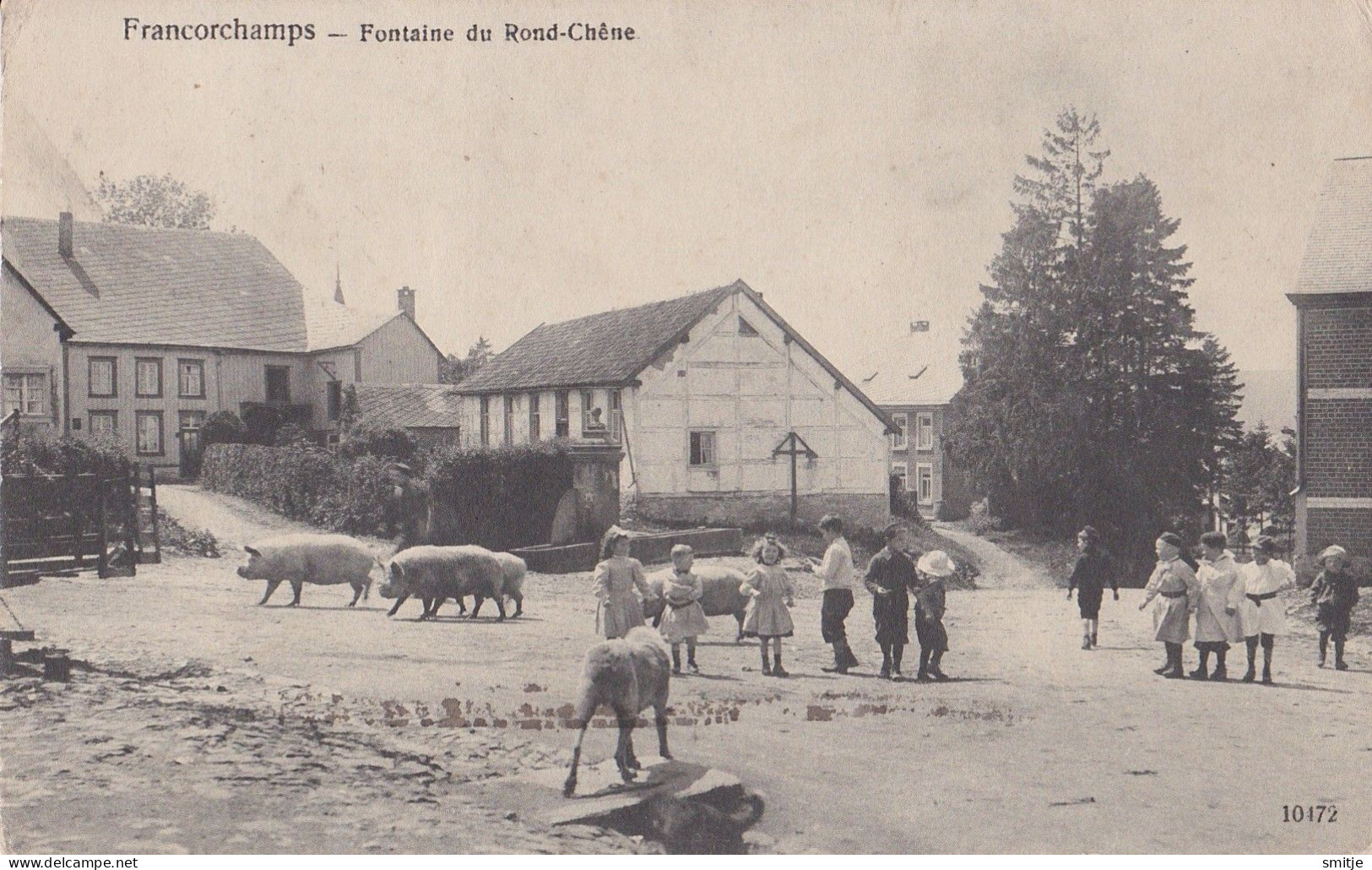 FRANCORCHAMPS 1909 COCHONS VARKENS Fontaine Du Rond-chène - STAVELOT - Stavelot