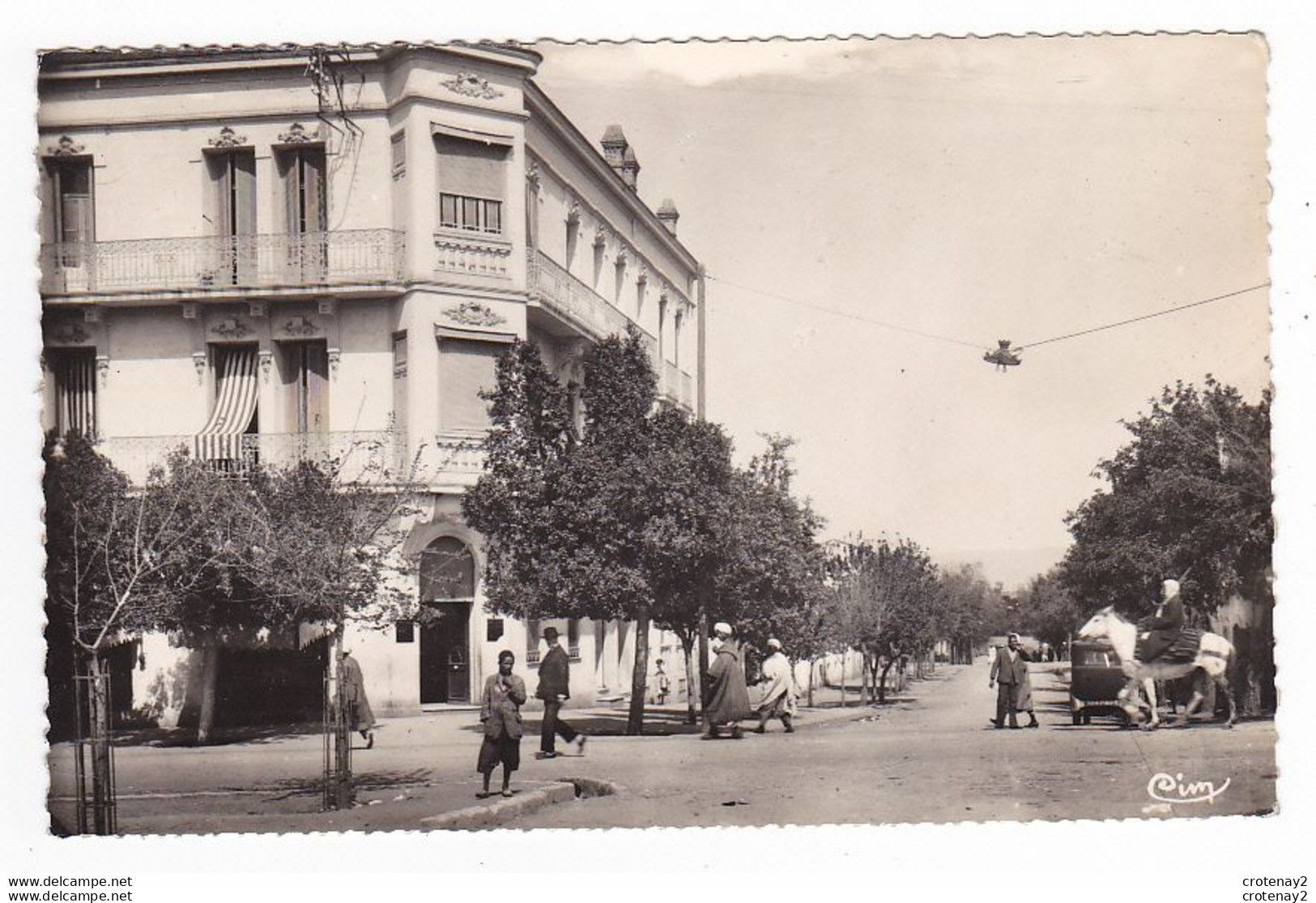 Algérie ORLEANSVILLE Alger Imprimerie Du Progrès Voiture Ancienne Homme à Cheval VOIR DOS - Chlef (Orléansville)