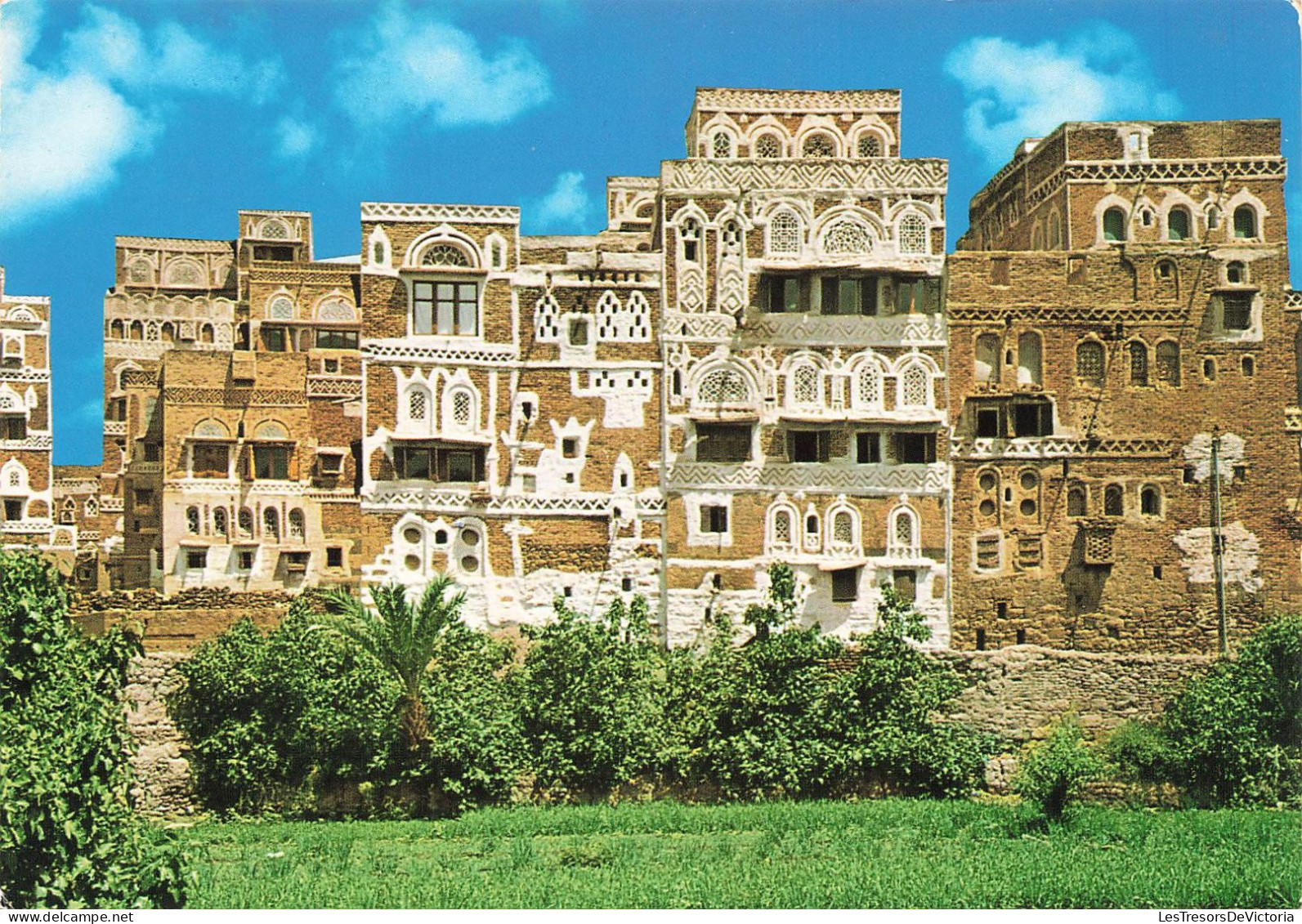 YÉMEN - Sanaa - Vergers Et Bâtiments Typiques - Colorisé - Carte Postale - Yemen