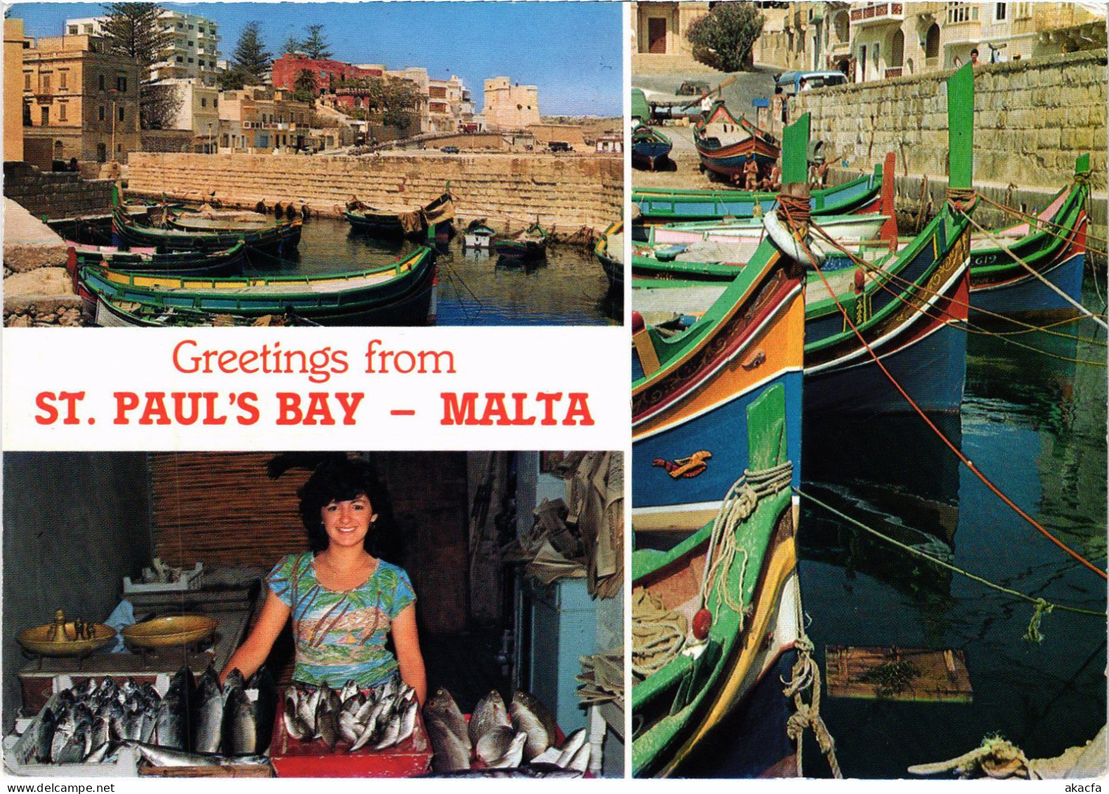 CPM AK St Paul's Bay Souvenir MALTA (1260760) - Malte