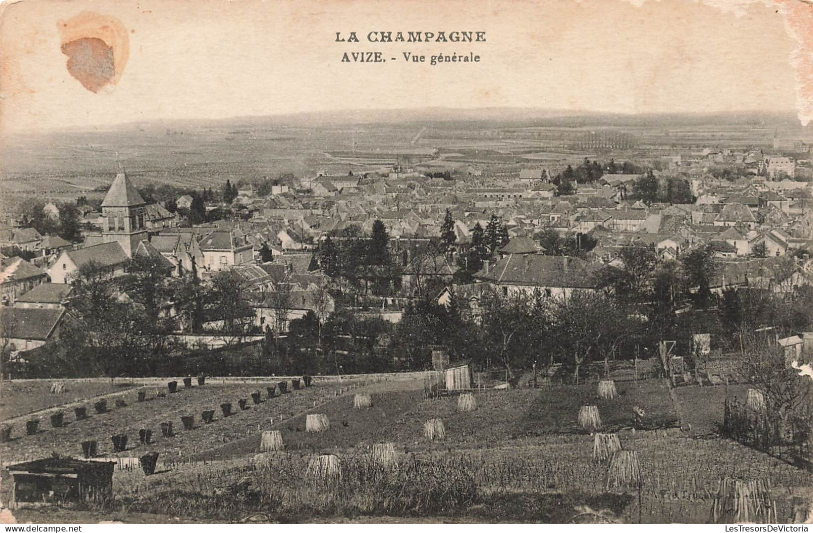 FRANCE - Avize - Vue Générale - Carte Postale Ancienne - Epernay