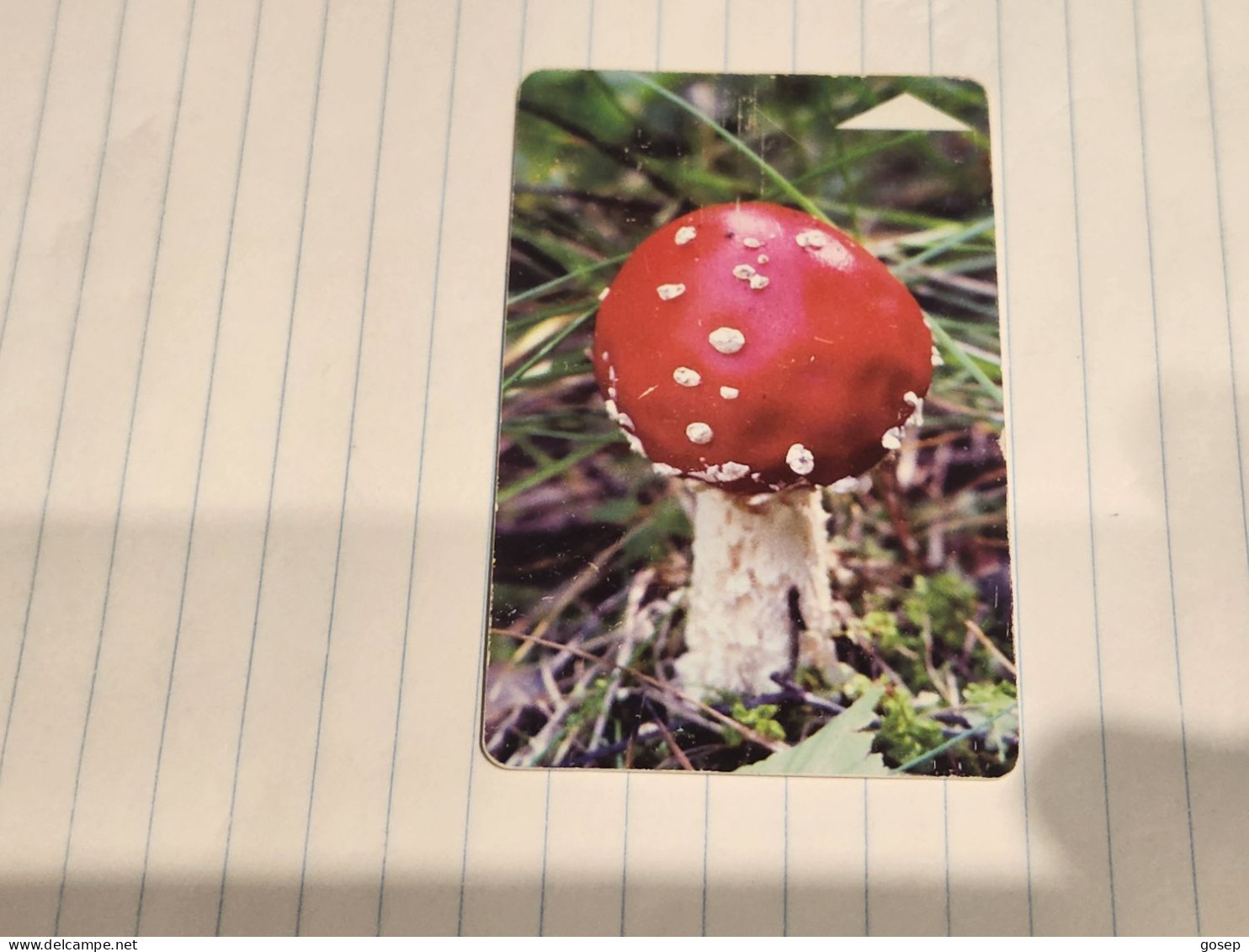 BELARUS-(BY-BLT-112)-Mushroom Amanita-(92)(SILVER CHIP)(099453)(tirage-136.000)used Card+1card Prepiad Free - Belarus