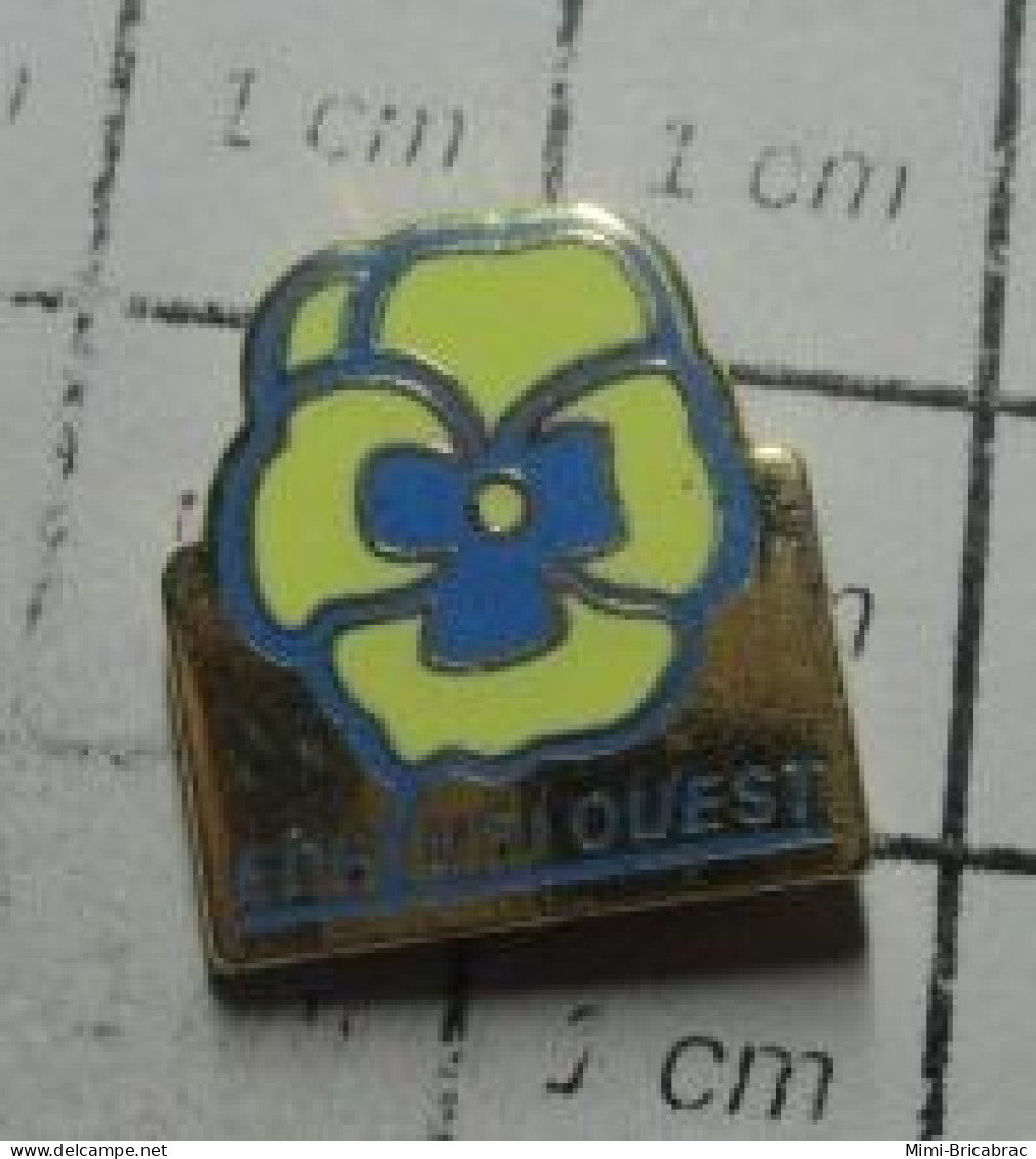 918c Pin's Pins / Rare Et De Belle Qualité !!! EDF / FLEUR JAUNE ET BLEUE EDF OUEST - EDF GDF