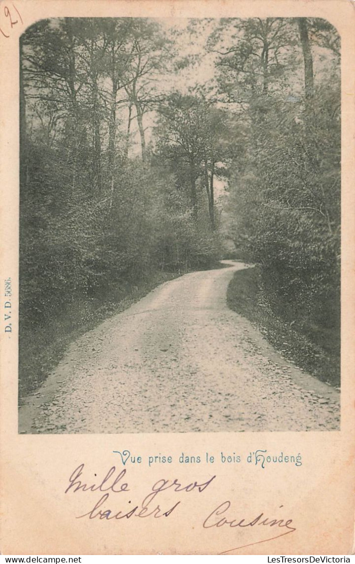 BELGIQUE - Houdeng - Vue Prise Dans Le Bois D'Houdeng - Carte Postale Ancienne - La Louvière