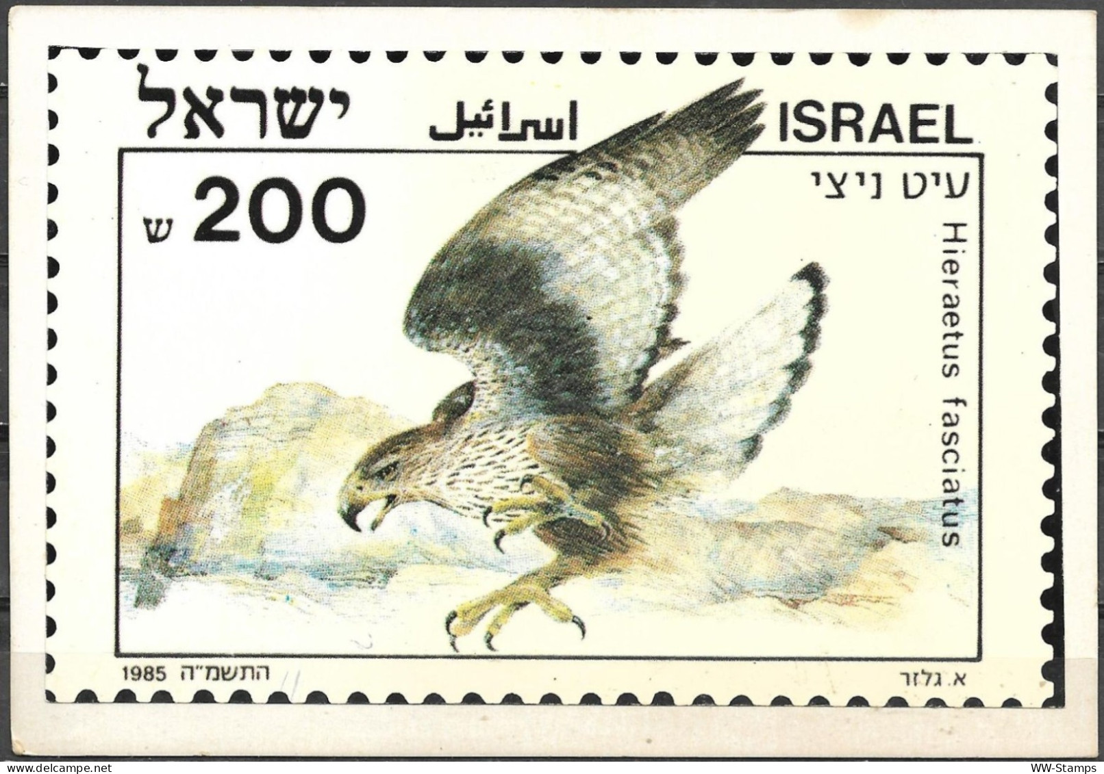 Israel 1985 Stamp On Postcard By Mougrabi Stamps Eagle Hawk Bird [ILT1653] - Briefe U. Dokumente