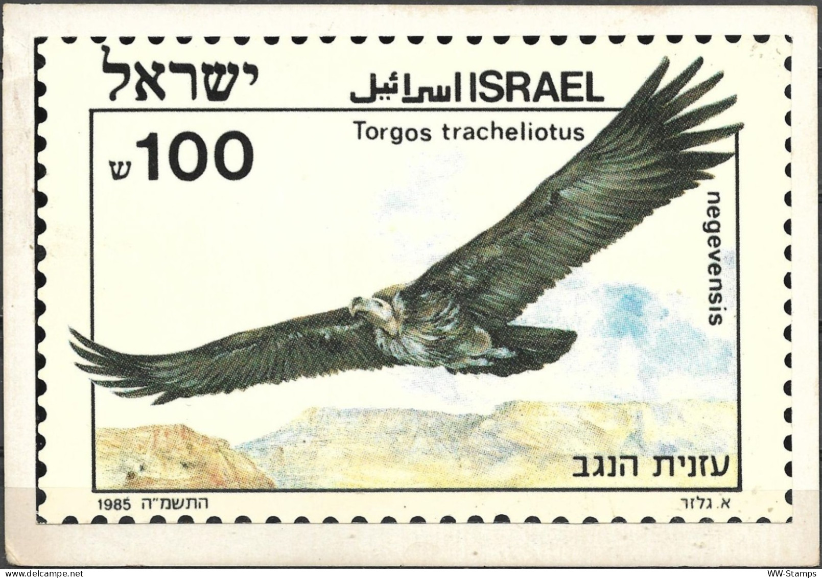 Israel 1985 Stamp On Postcard By Mougrabi Stamps Azaniyat Hanegev Bird [ILT1654] - Covers & Documents