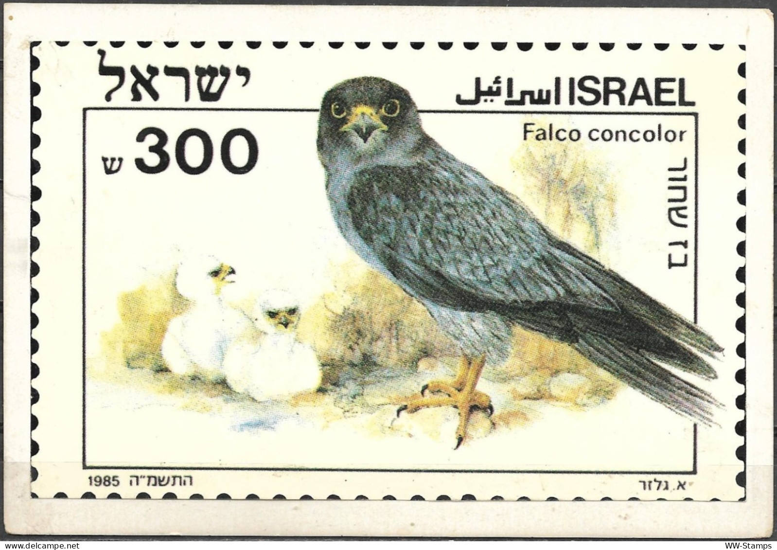 Israel 1985 Stamp On Postcard By Mougrabi Stamps Black Falcon Bird [ILT1656] - Storia Postale