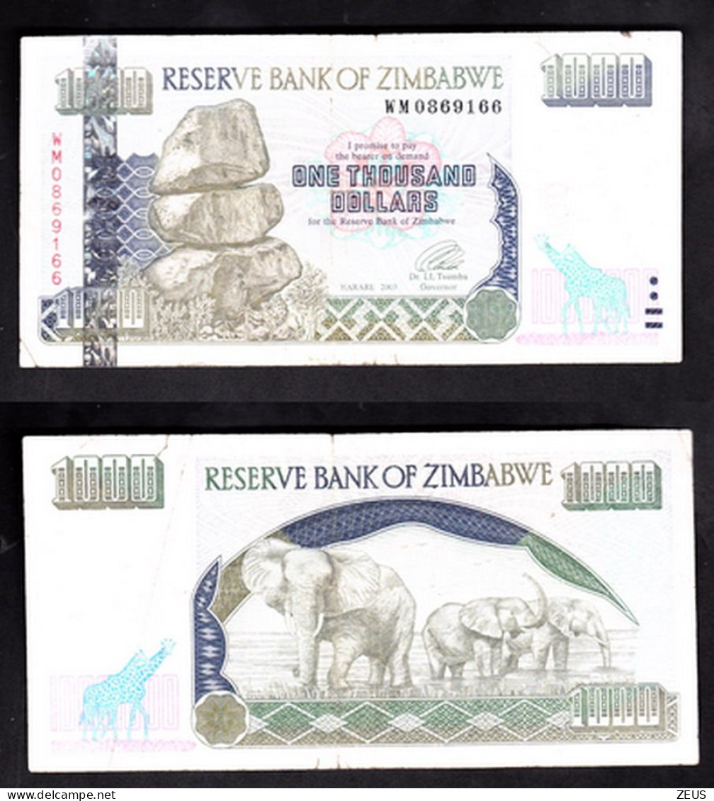 ZIMBABWE 1000 DOLLARI 2003 PIK 12 BB - Zimbabwe