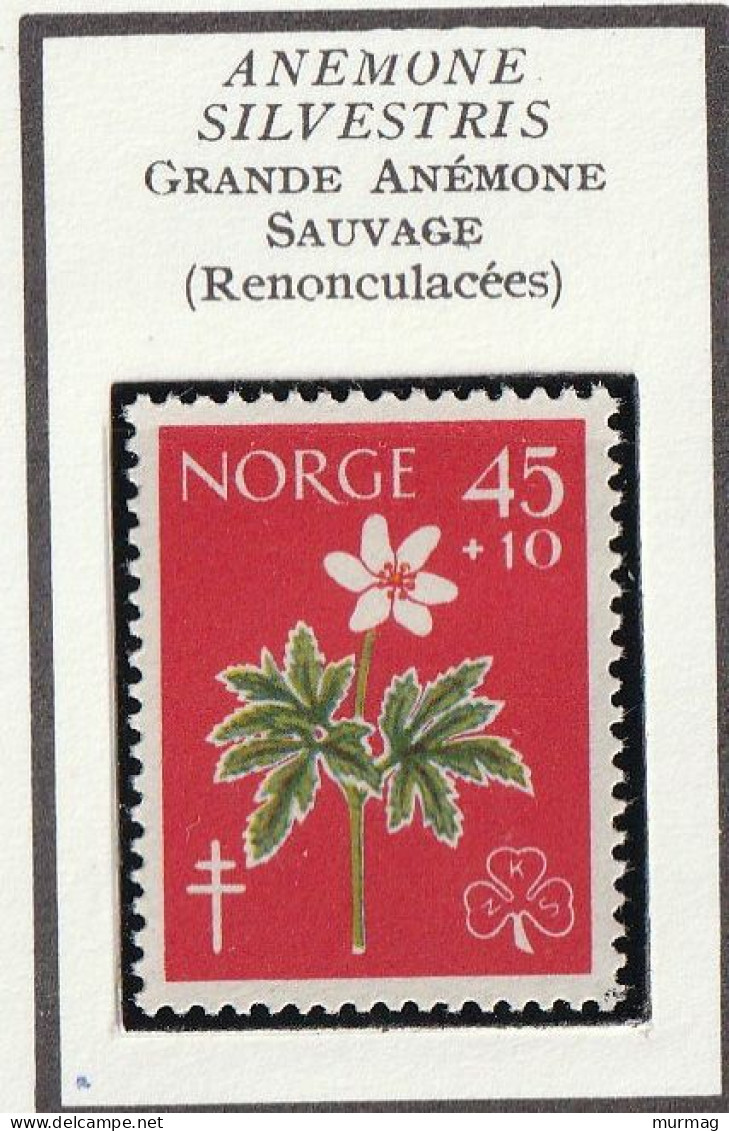 NORVEGE - Fleurs, Flowers, Grande Anémone, Hépatique, Lutte Contre La Tuberculose - Y&T N° 396-397 - 1960 - MH - Unused Stamps