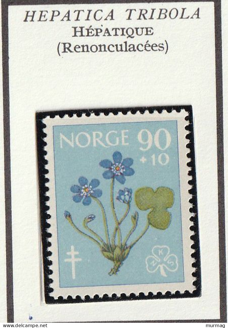 NORVEGE - Fleurs, Flowers, Grande Anémone, Hépatique, Lutte Contre La Tuberculose - Y&T N° 396-397 - 1960 - MH - Ungebraucht