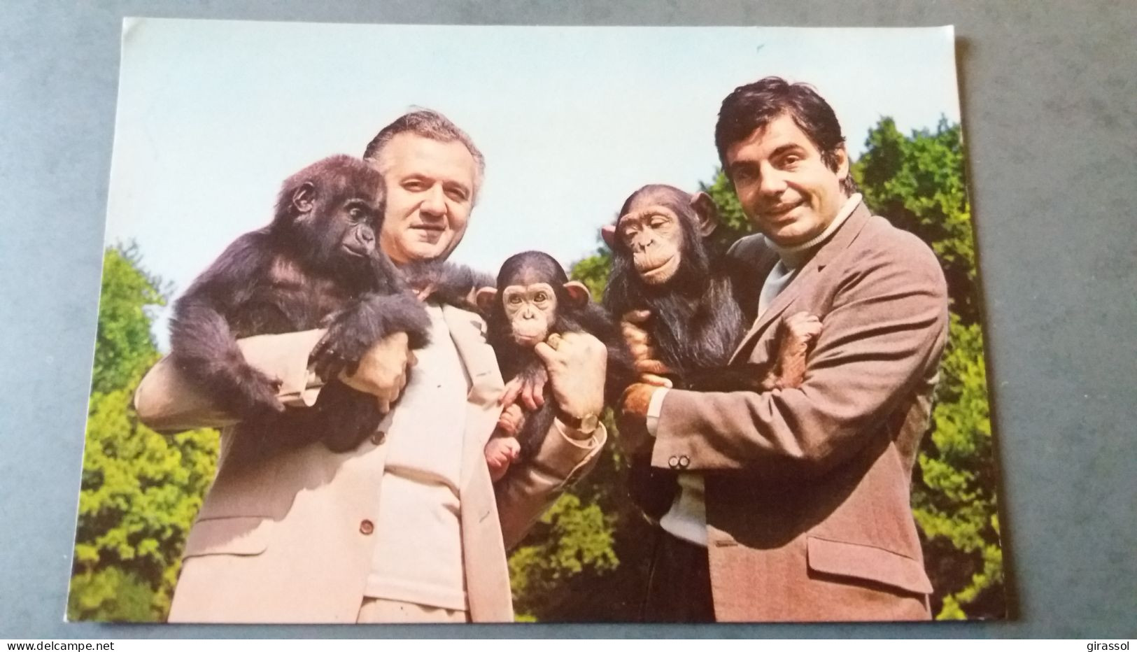 CPSM ZOO JEAN RICHARD ERMENONVILLE OISE GERTRUDE GORILLE GASTON CHIMPANZE J RICHARD ET ROGER PIERRE ED MONOCHROME - Singes