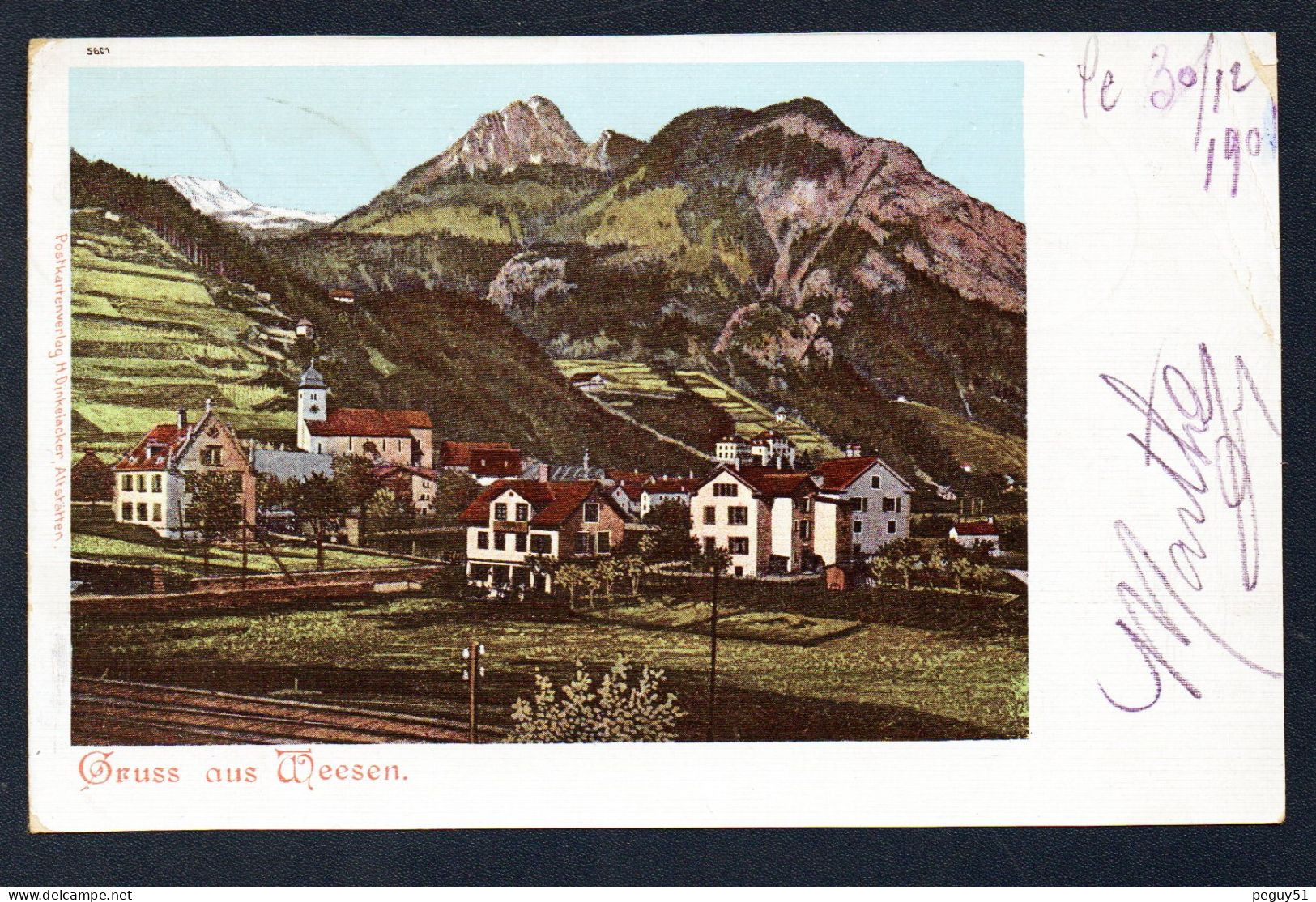 Saint-Gall. Gruss Aus Weesen. Panorama Du Village Avec L'église De La Sainte-Croix ( XVè S.). 1901 - Weesen