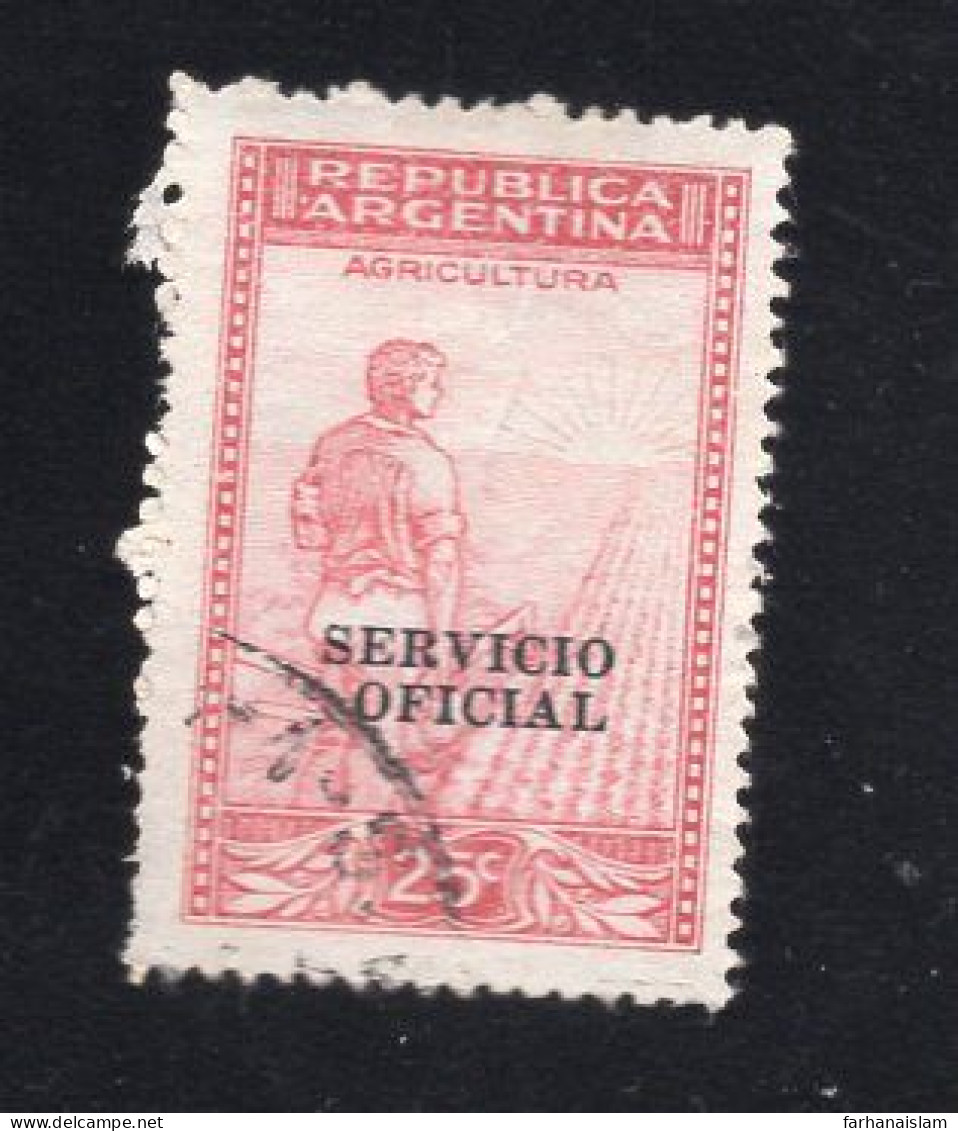 Argentina SERVICE Servicio Official Ovpt OFFSET Error Postally Used - Usados