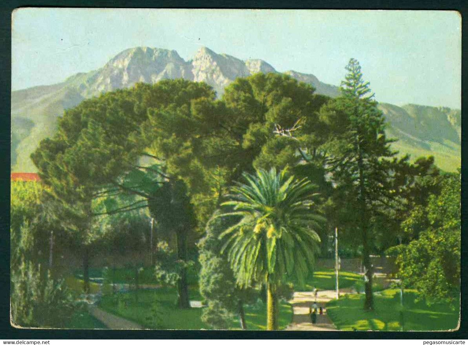 BA437 - CAVA DEI TIRRENI - MONTE FINESTRA DALLA VILLA COMUNALE - SALERNO - 1951 - Cava De' Tirreni