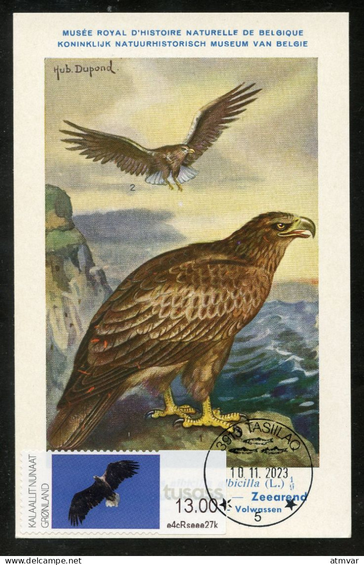 GREENLAND (2023) Carte Maximum Card ATM - White-tailed Eagle, Haliaeetus Albicilla, Pygargue à Queue Blanche, Bird Prey - Cartas Máxima