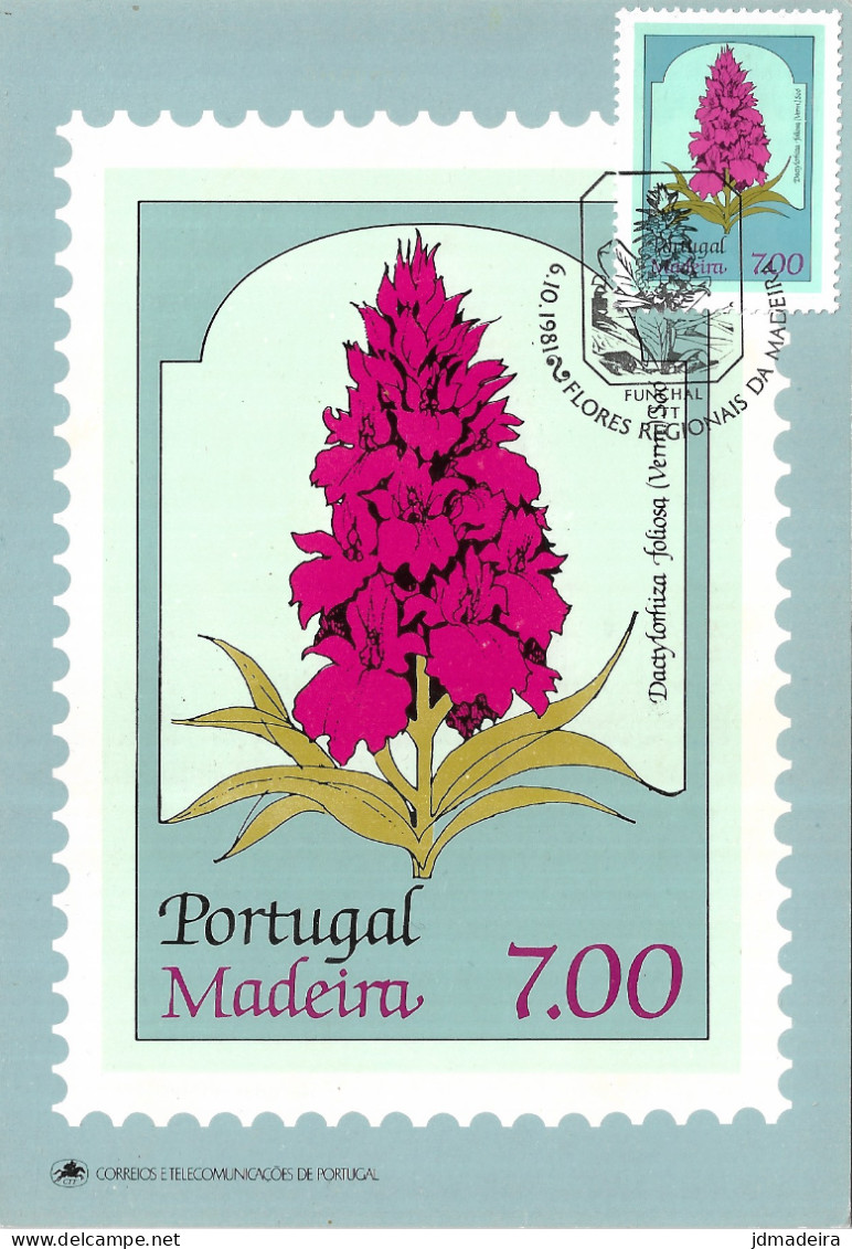 Portugal – 1981 Flowers Madeira Maximum Cart Carte Maximum - Lettres & Documents