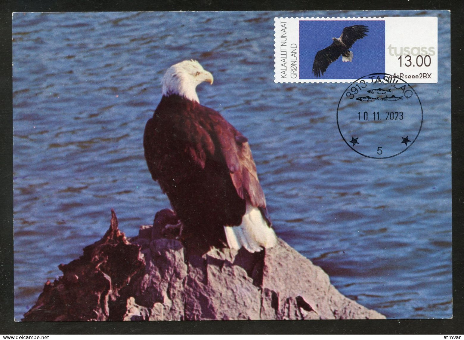 GREENLAND (2023) Carte Maximum Card ATM - White-tailed Eagle, Haliaeetus Albicilla, Pygargue à Queue Blanche, Bird Prey - Cartes-Maximum (CM)