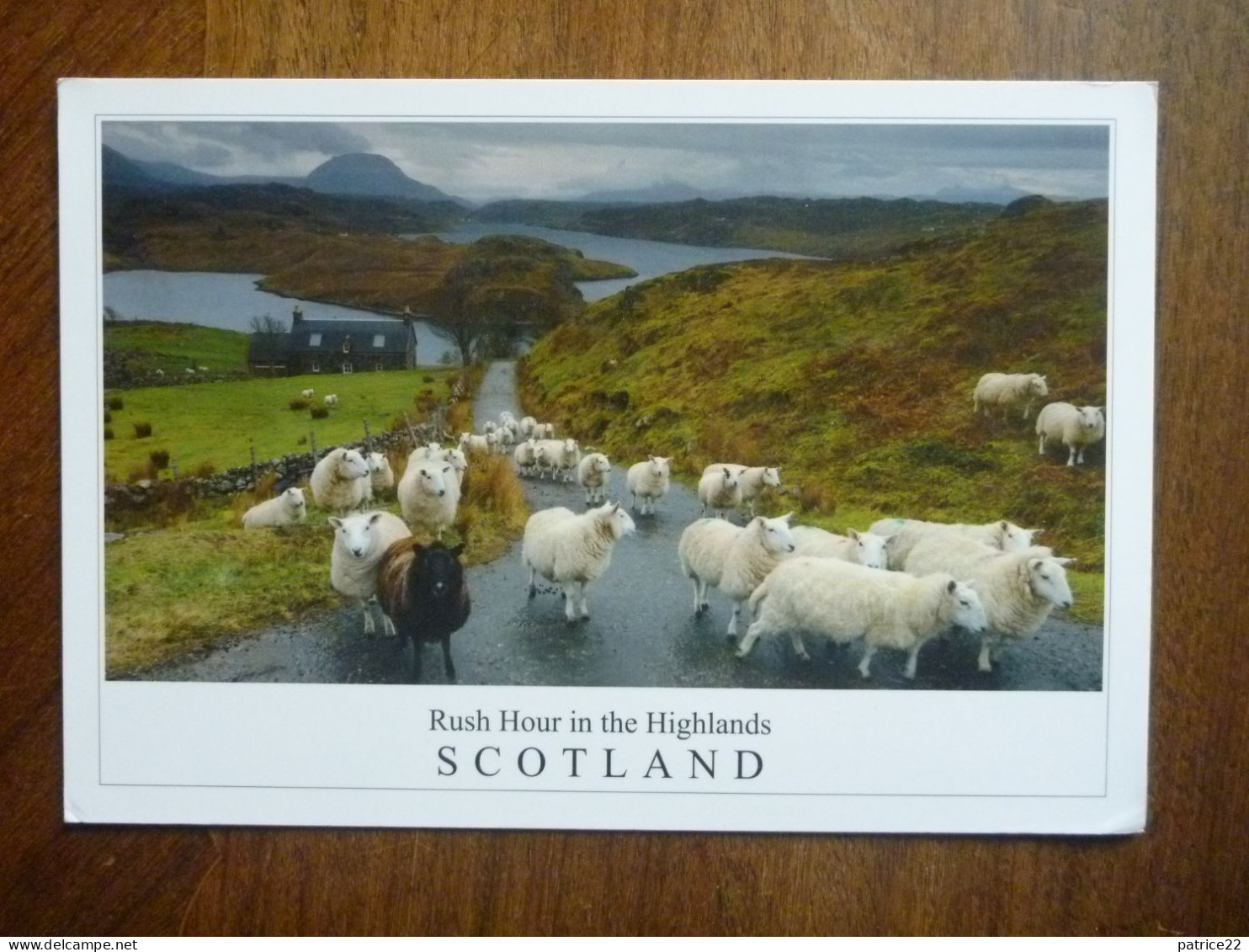 CPSM Timbre Stamp - RUSH HOUR IN THE HIGHLANDS SCOTLAND ECOSSE LOCH INCHARD BADCALL Kinlochbervie DOUGLAS CORRANCE - Sutherland