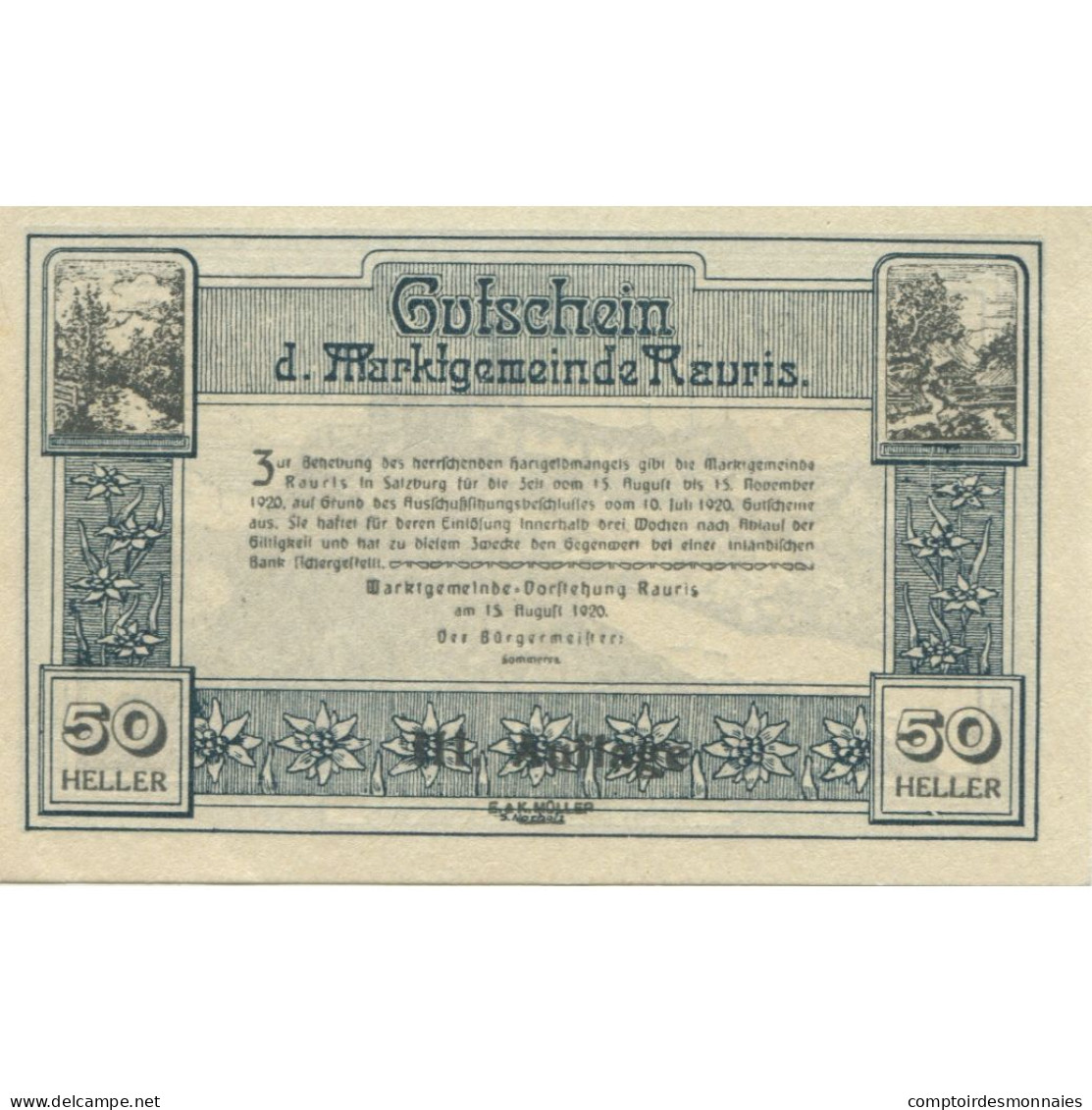 Billet, Autriche, Rauris, 50 Heller, Château 1920-11-15, SPL, Mehl:FS 823a - Oesterreich