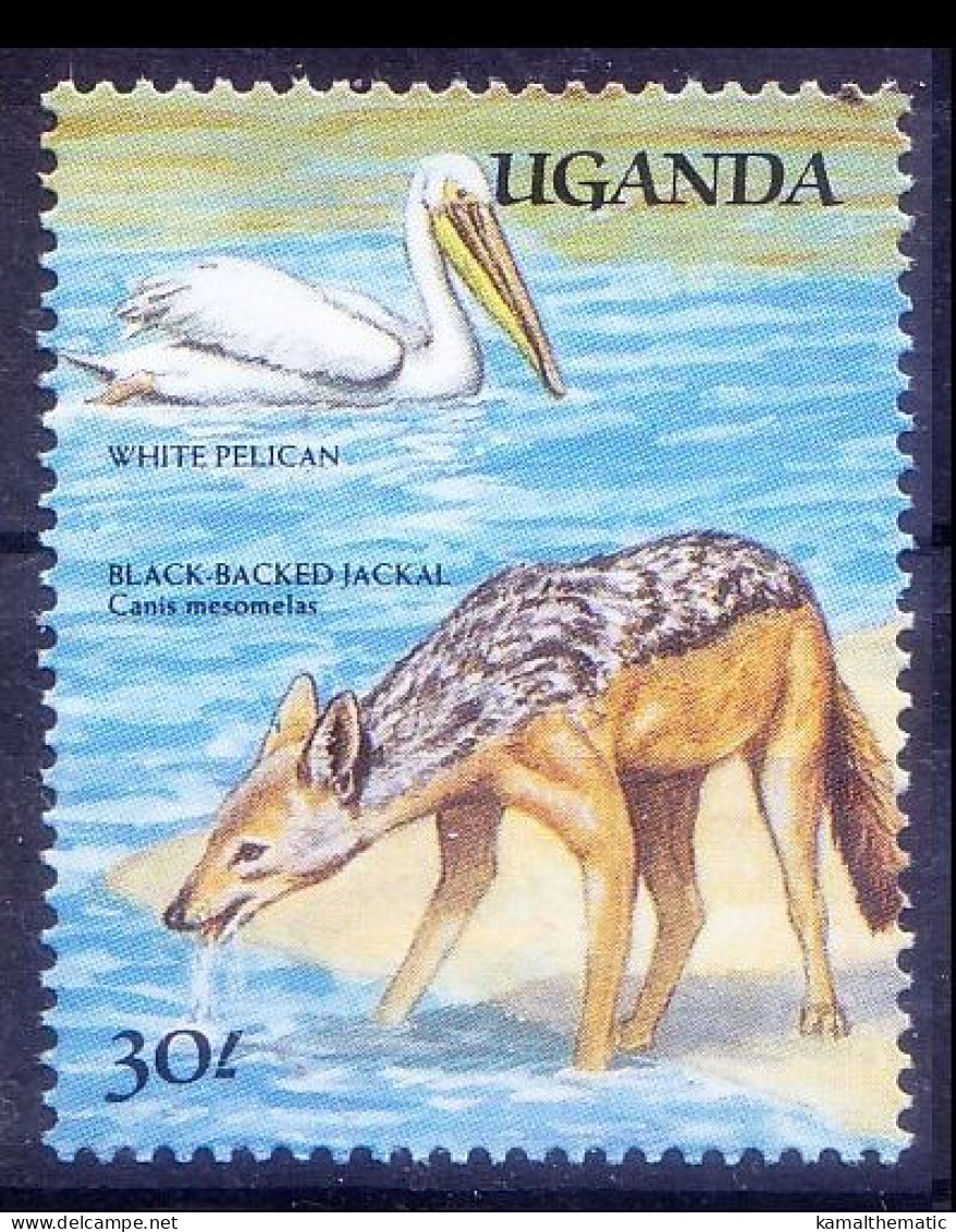 White Pelican, Water Birds, Black Backed Jackal, Uganda 1989 MNH - Pelícanos