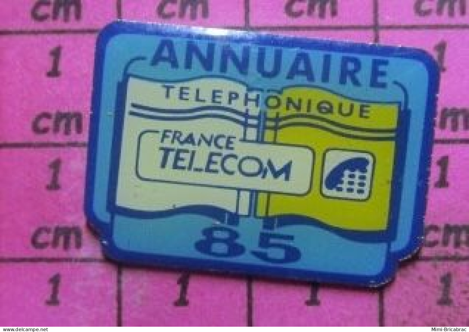 119 Pin's Pins / Beau Et Rare / FRANCE TELECOM / ANNUAIRE TELEPHONIQUE VENDEE 85 - France Télécom