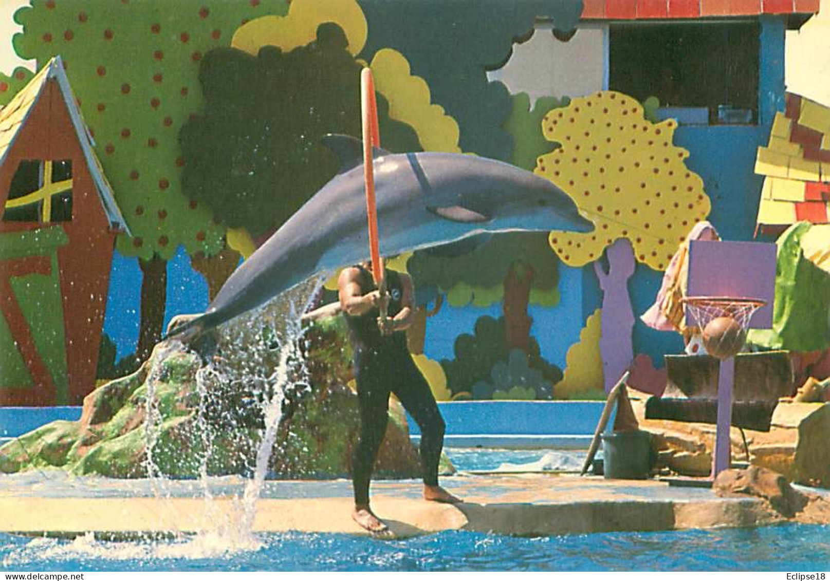 Marineland - Antibes  - Dauphin  F 80 - Dolfijnen