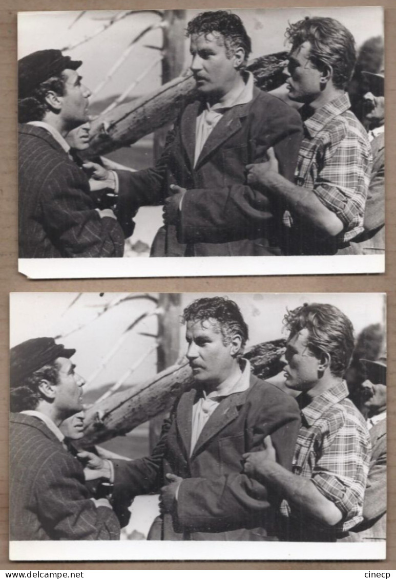 LOT 5 PHOTOS FILM Avec Jacques SERNAS Divers Films Dont LE LOUP DE LA SILA  1949 TBE CINEMA Années 40 Et 50 - Photos