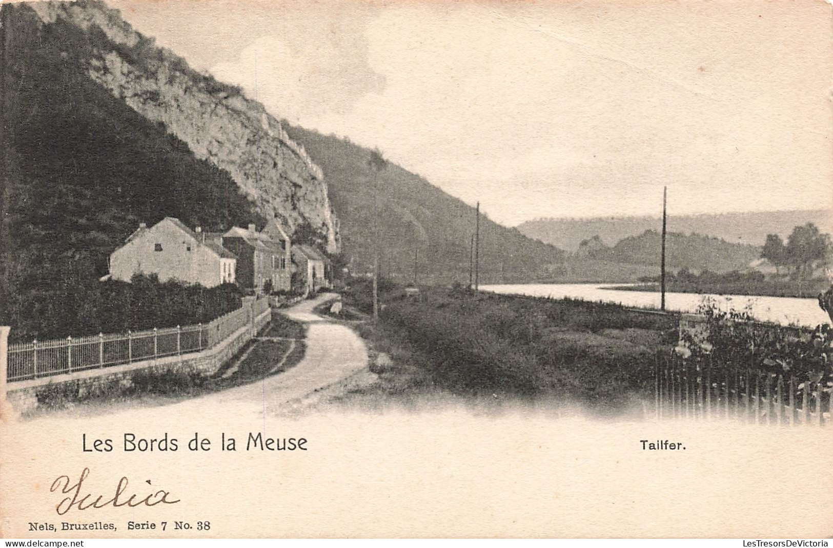 BELGIQUE - Profondeville - Les Bords De La Meuse - Vue Sur Tailfer - Carte Postale Ancienne - Profondeville